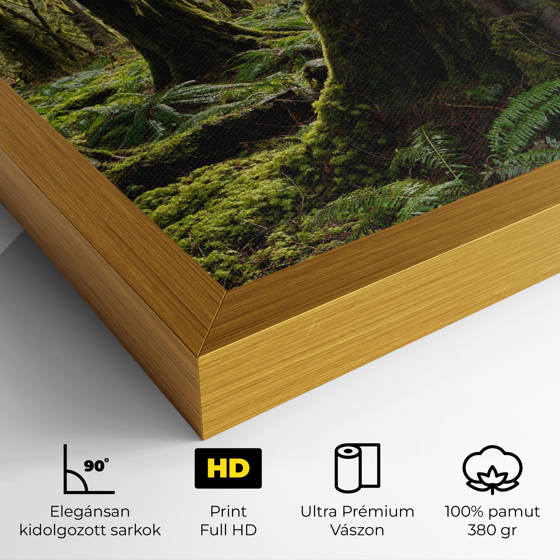 Green Moss Forest mockup 4