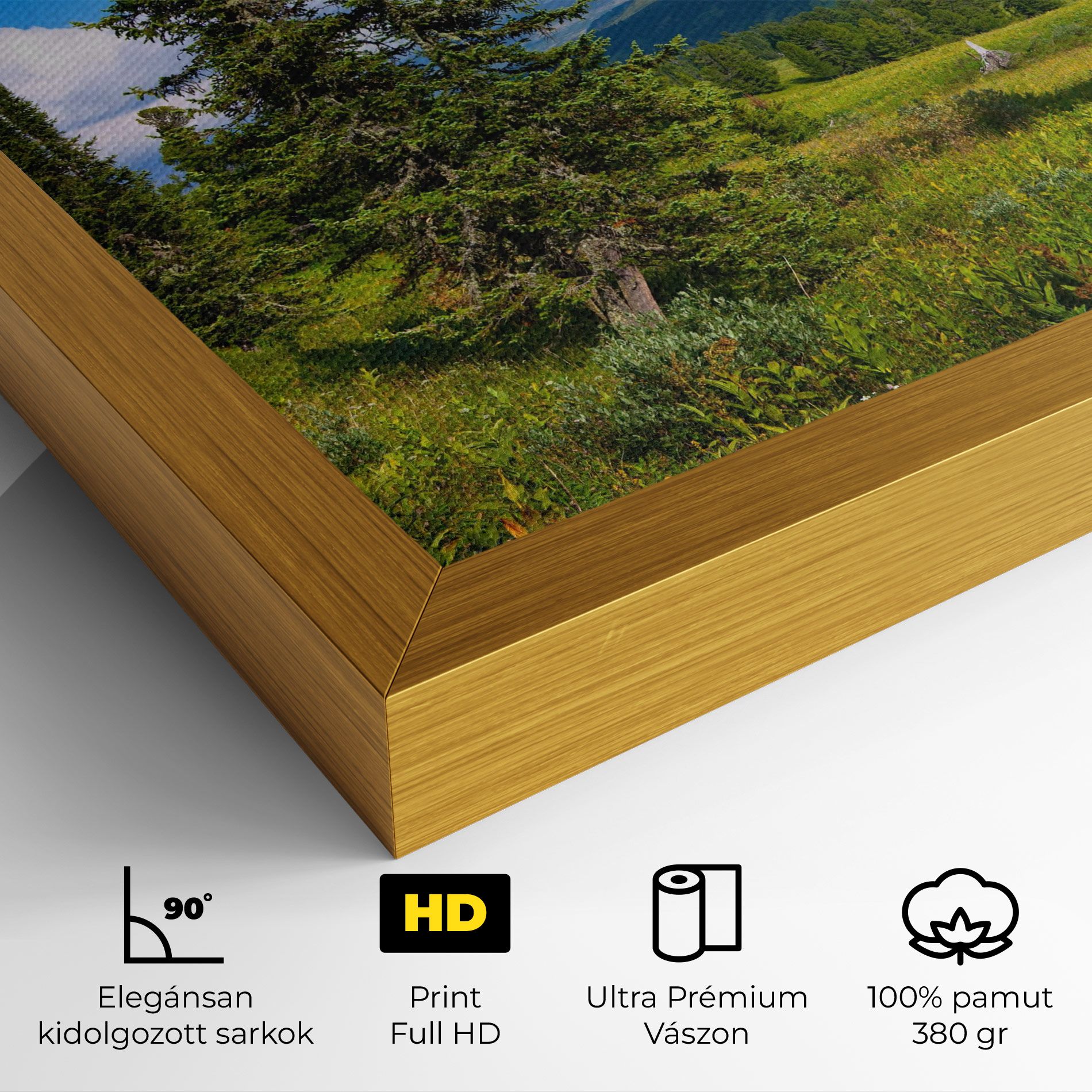 Morning Sunny Field mockup 4