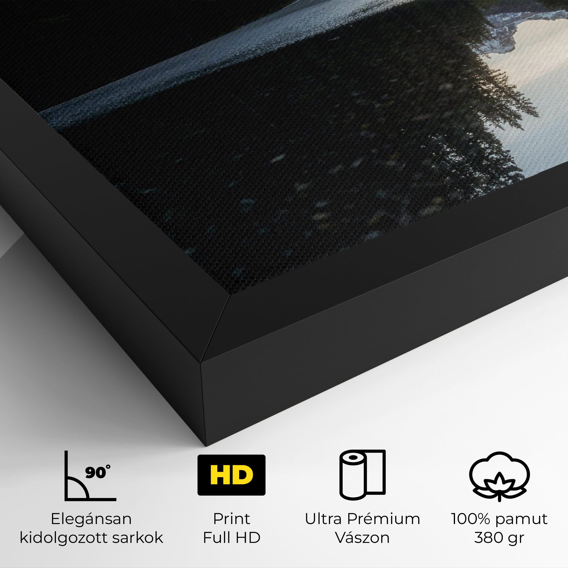 Big Lake Forest mockup 4