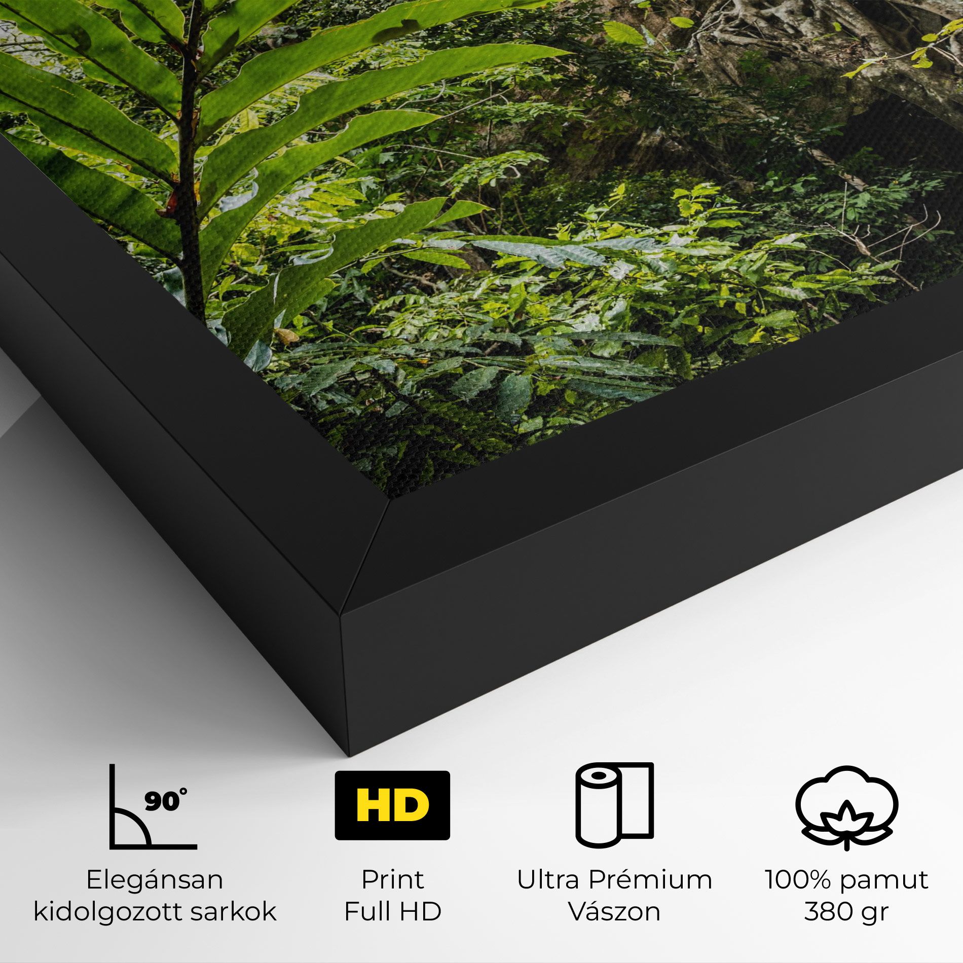 Big Leaf Forest mockup 4
