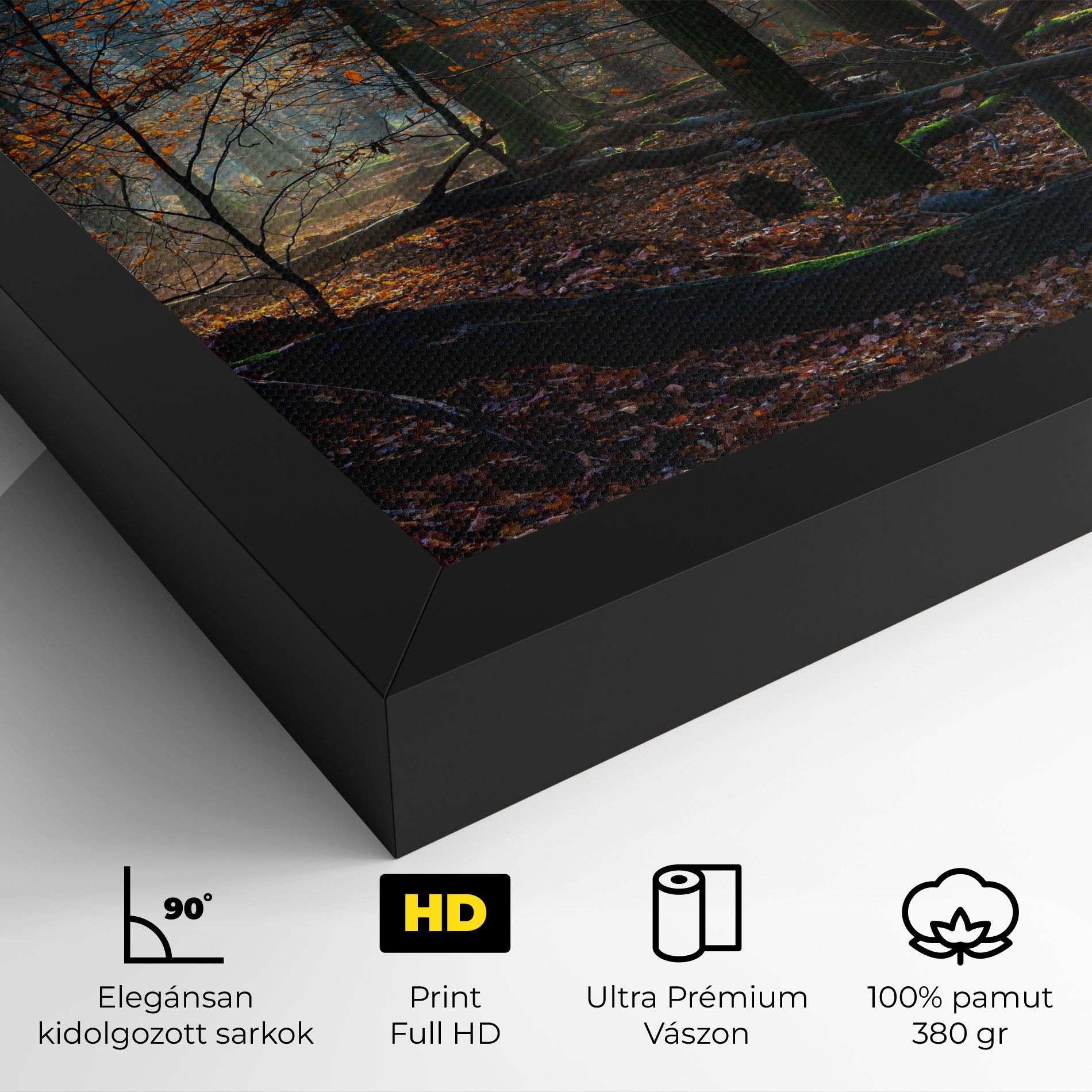 Forest Autumn Day mockup 4