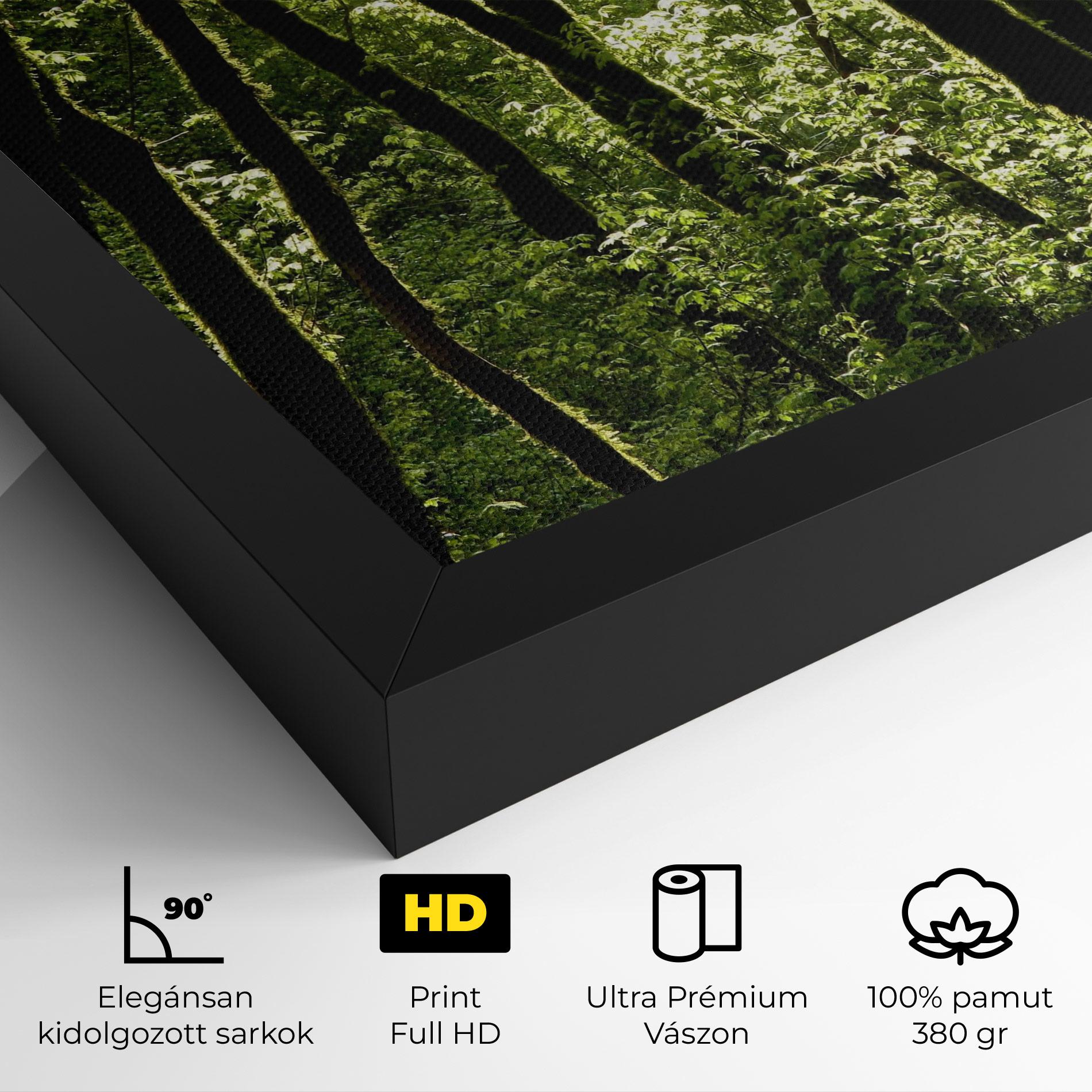 Vászonkép Forest Black Trees mockup 4