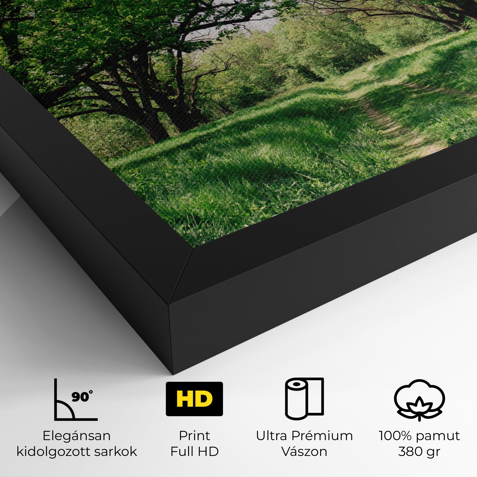 Vászonkép Forest Green Path mockup 4