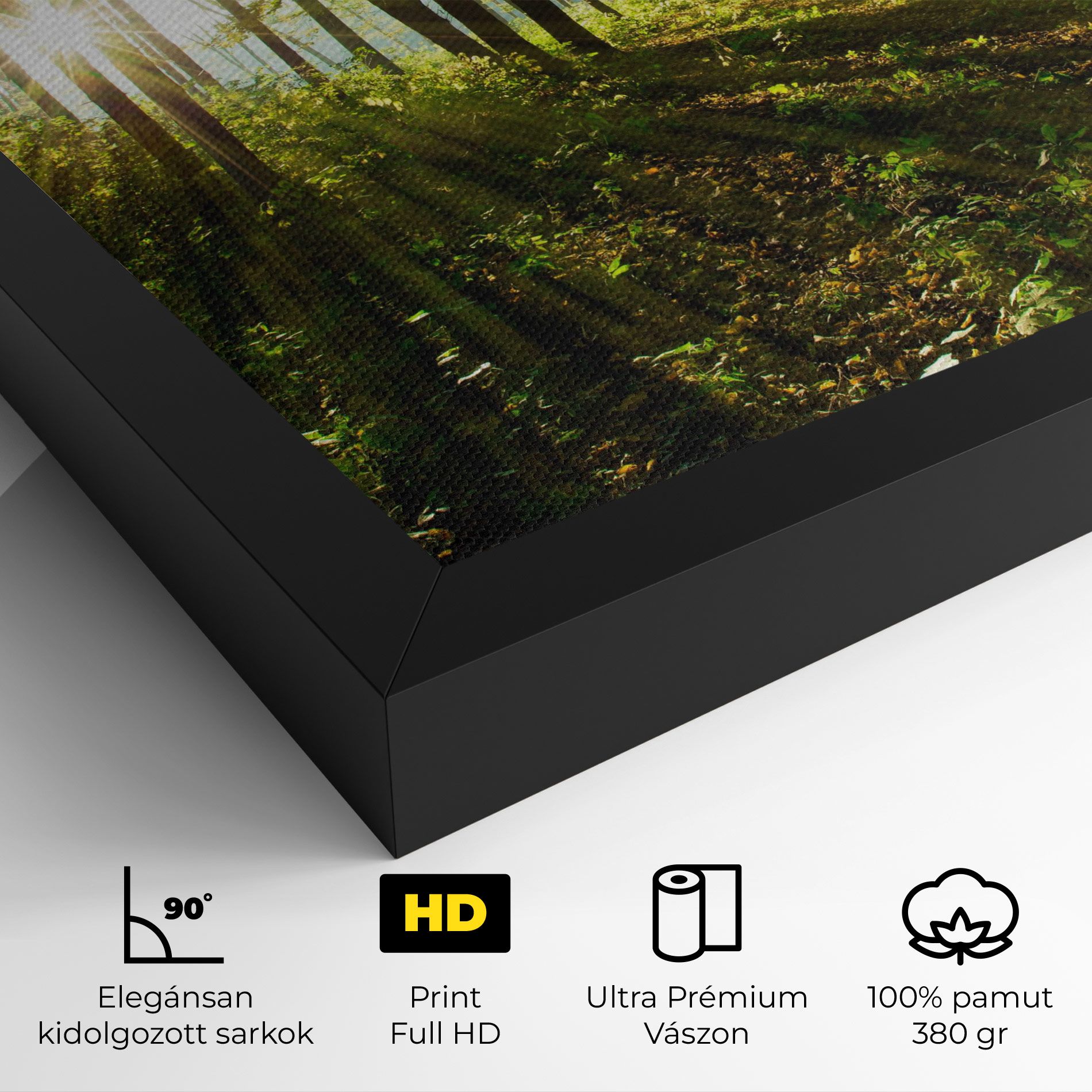 Green Light Forest mockup 4