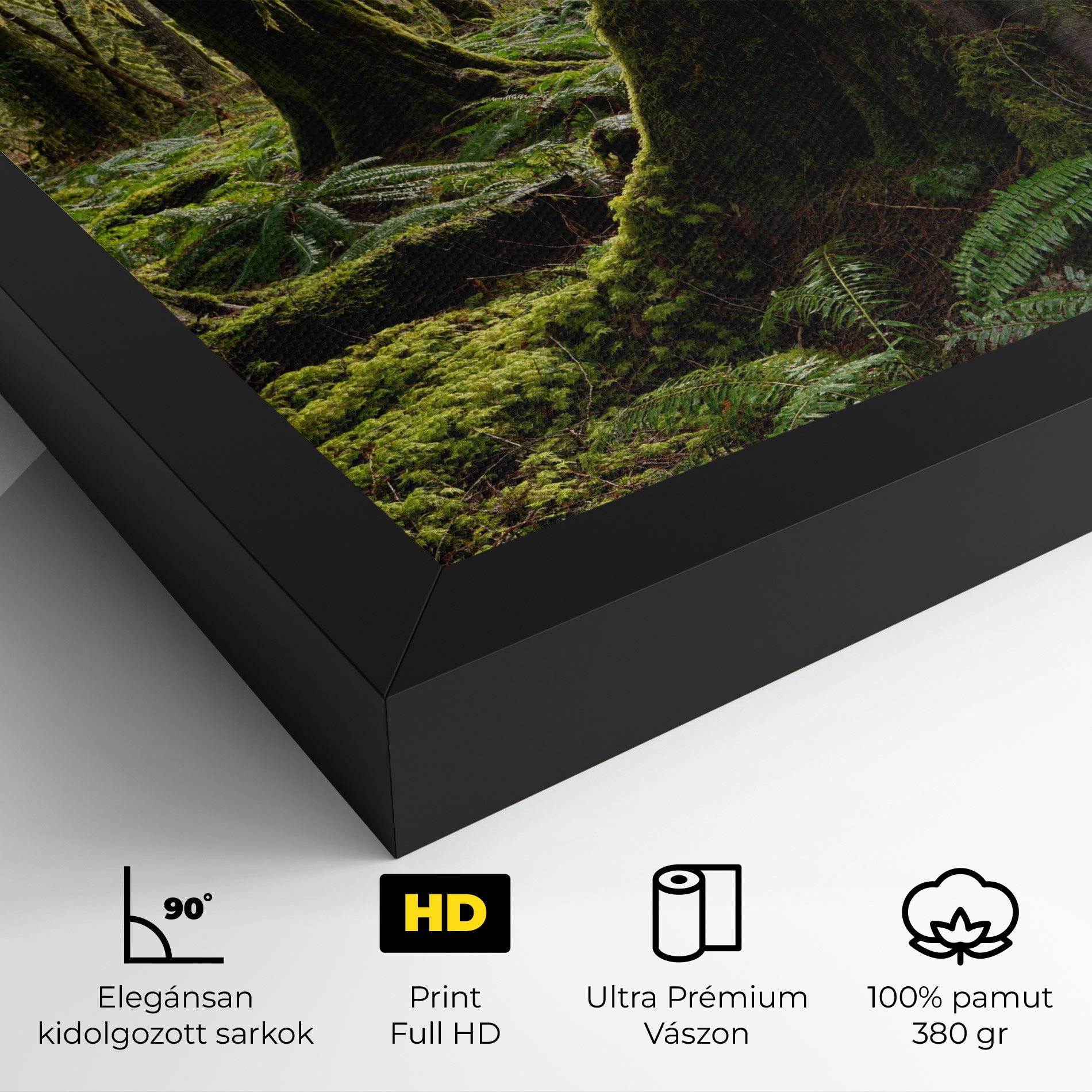 Green Moss Forest mockup 4