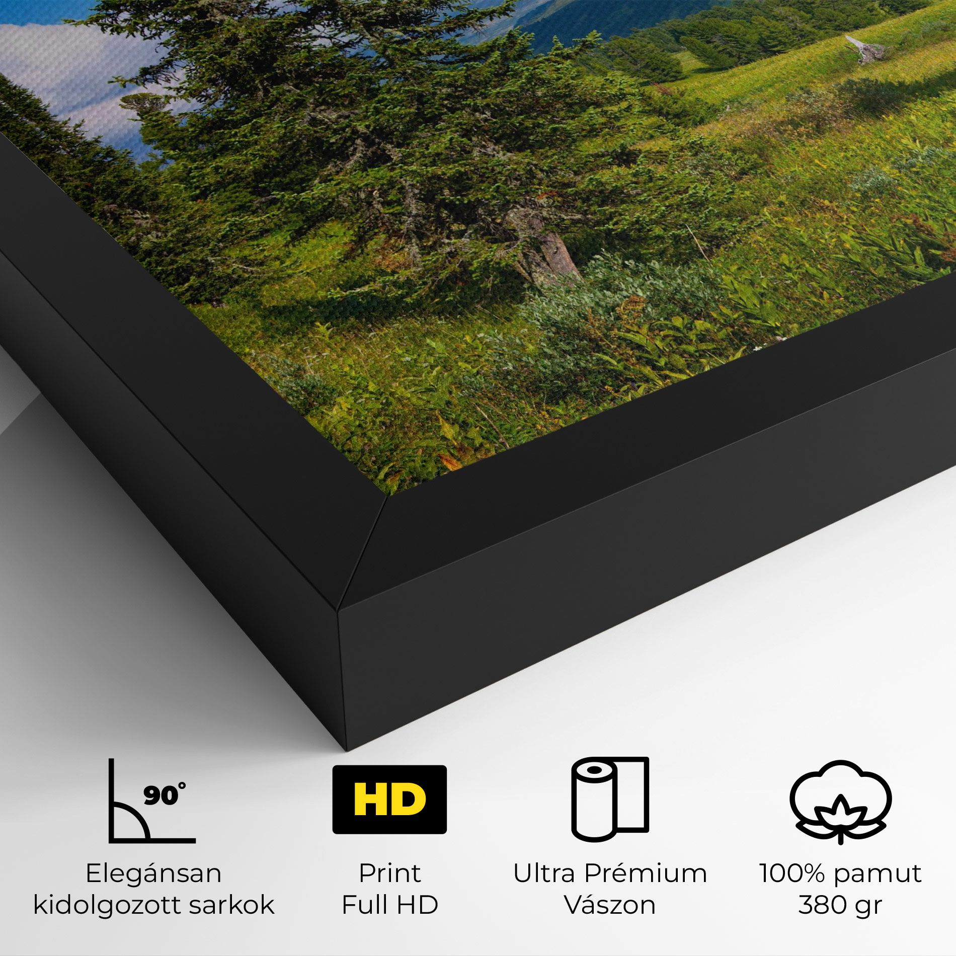 Morning Sunny Field mockup 4