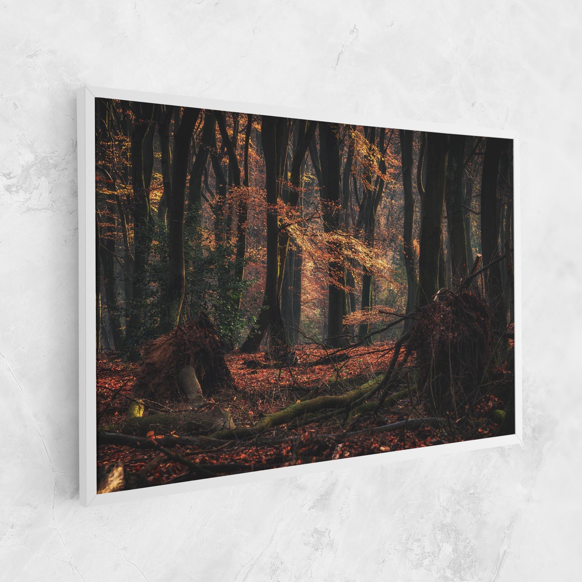 Vászonkép Autumn Forest Trees mockup 1