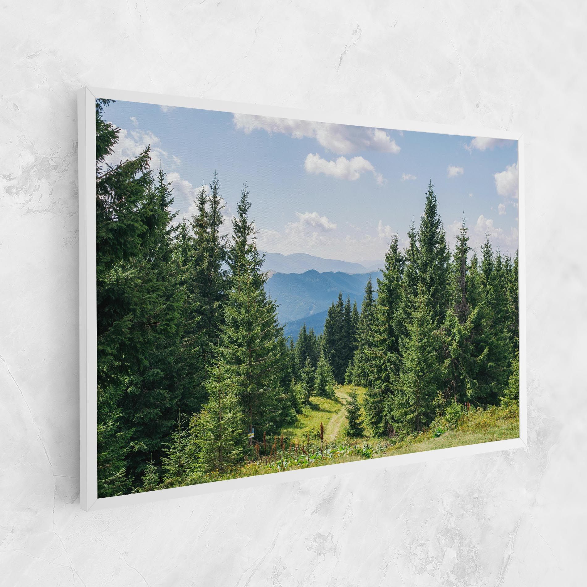 Carpathian Mountain mockup 1