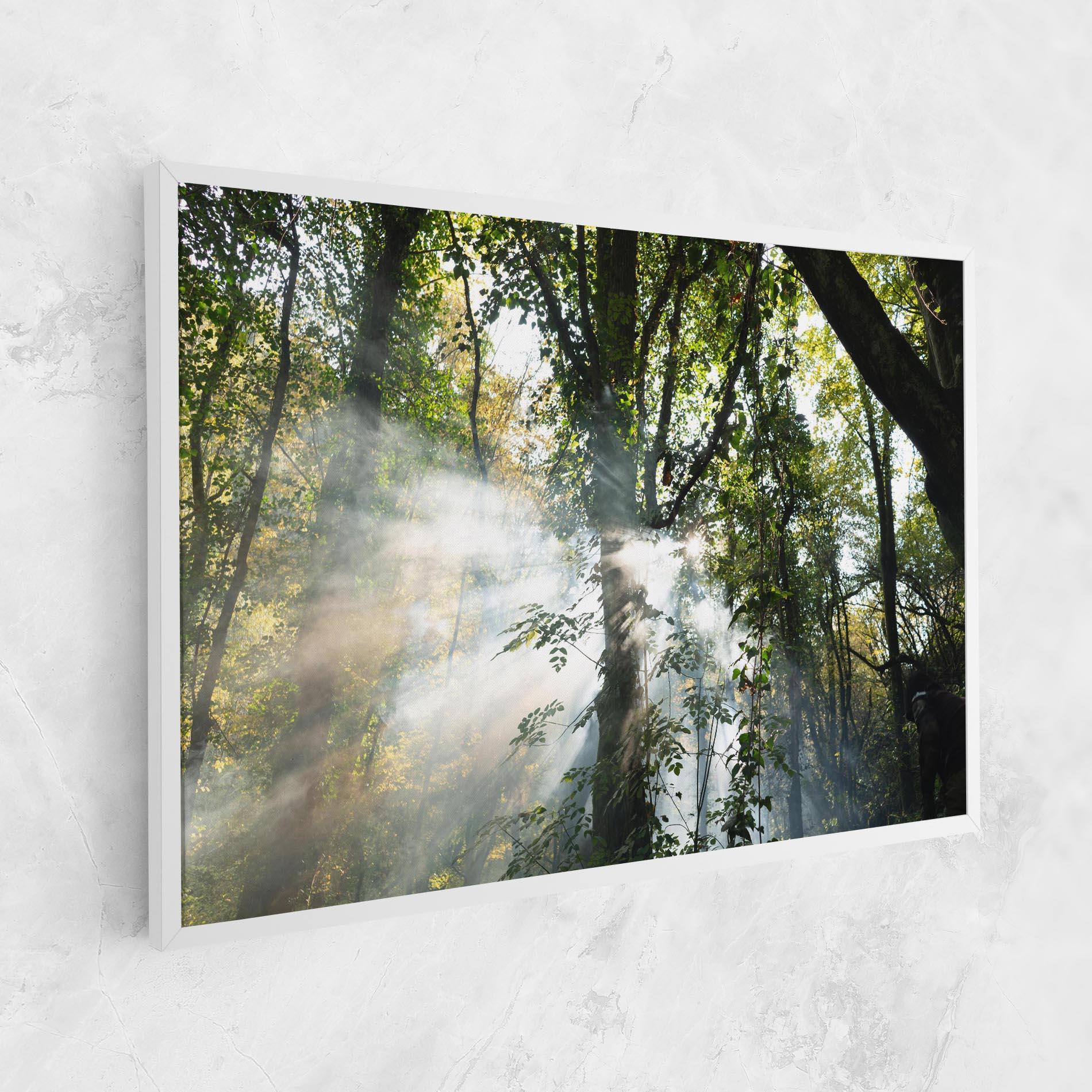 Vászonkép Foggy Light Forest mockup 1