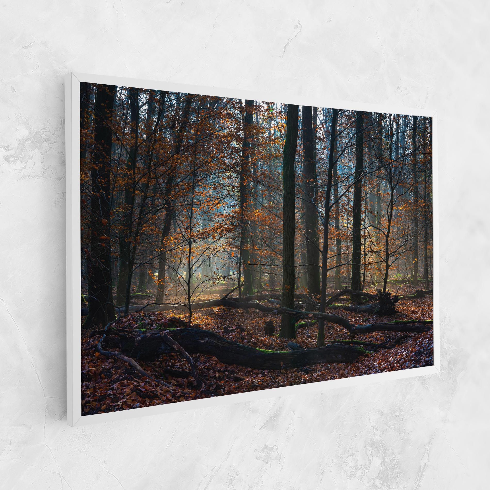 Forest Autumn Day mockup 1