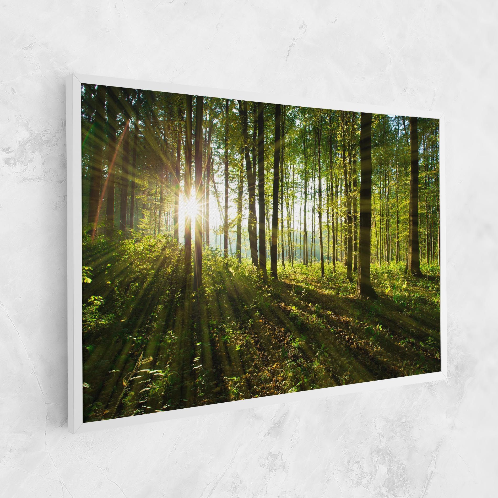 Green Light Forest mockup 1