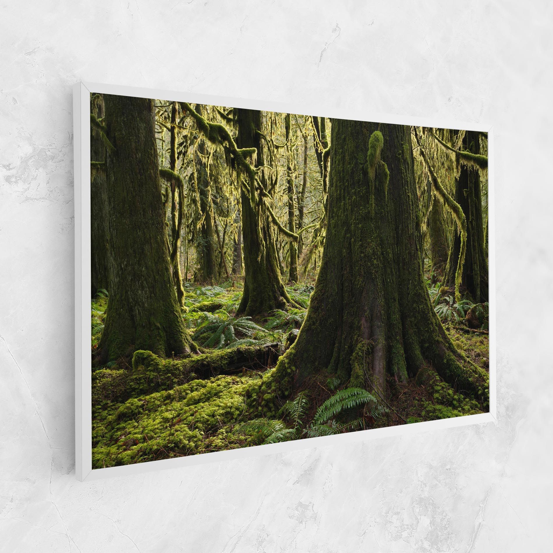 Green Moss Forest mockup 1