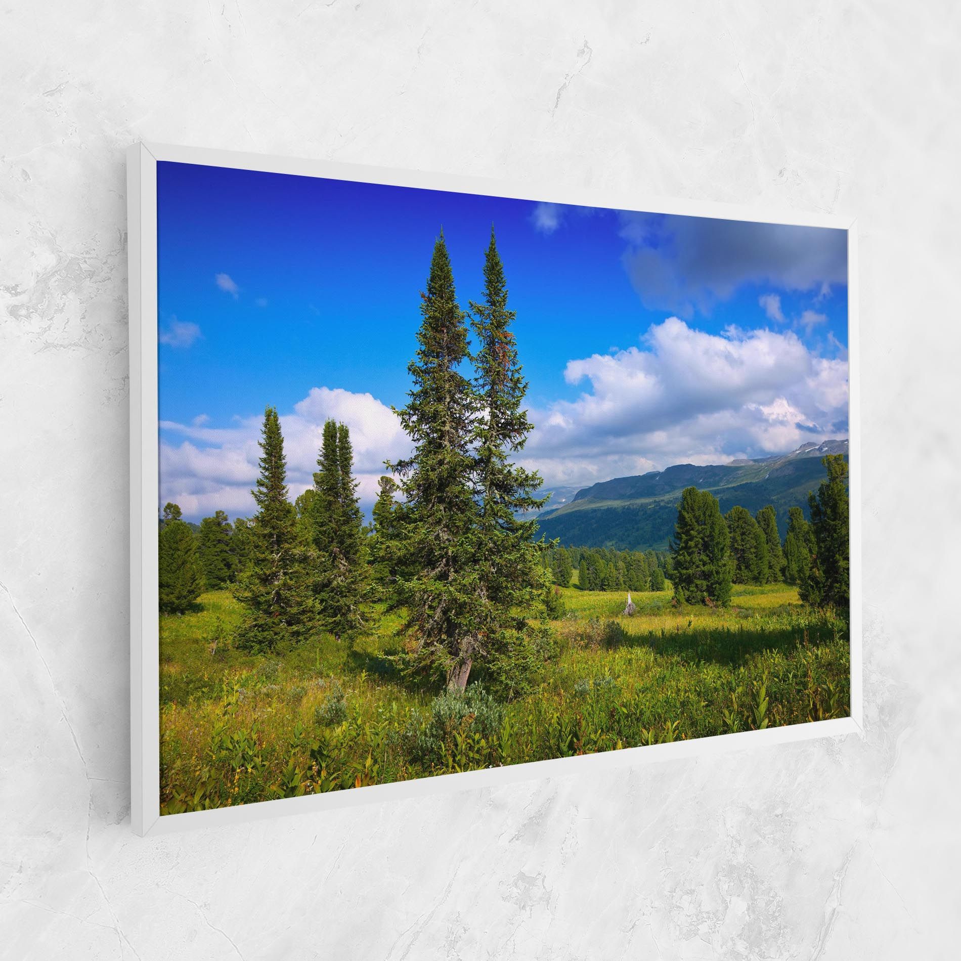 Morning Sunny Field mockup 1