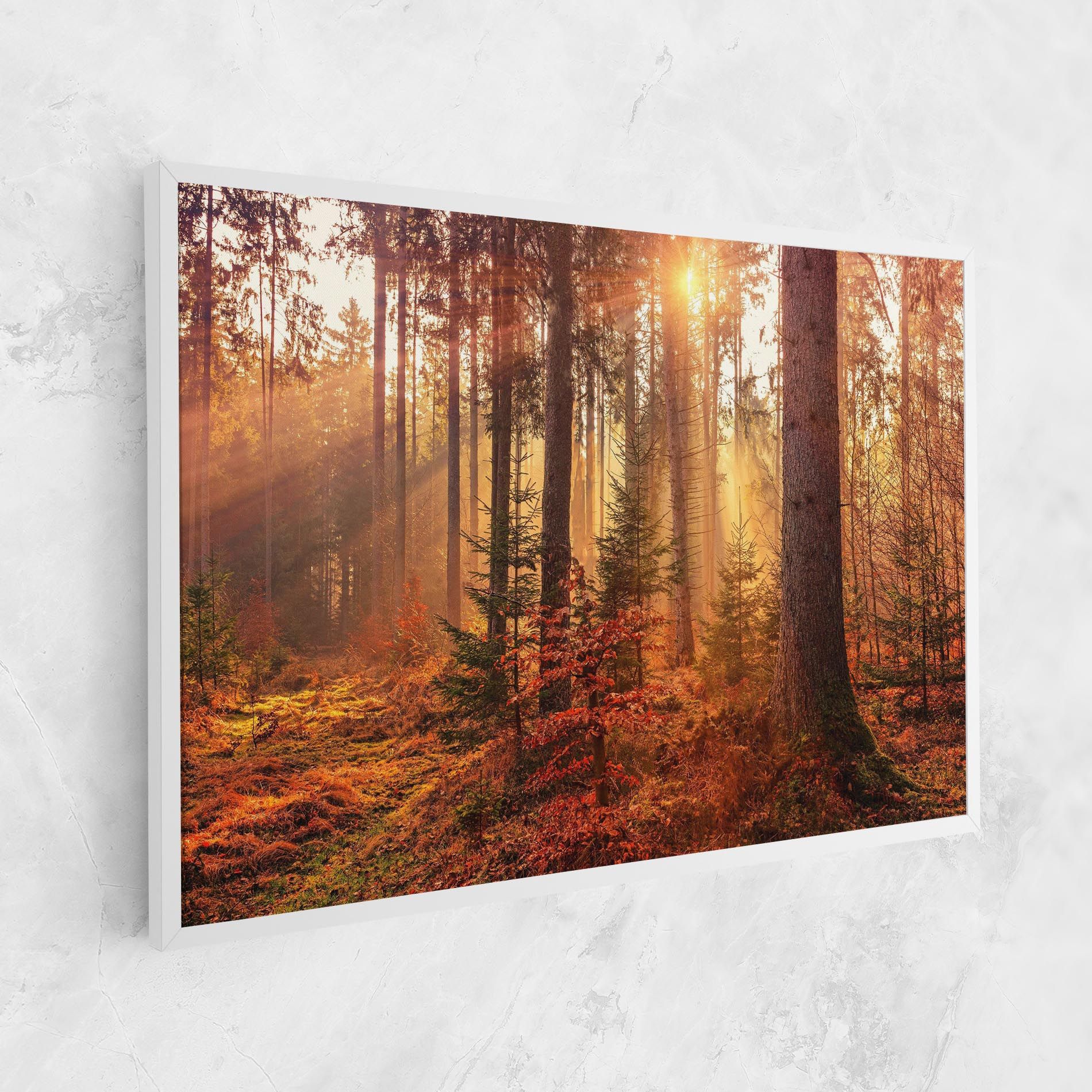 Orange Light Forest mockup 1