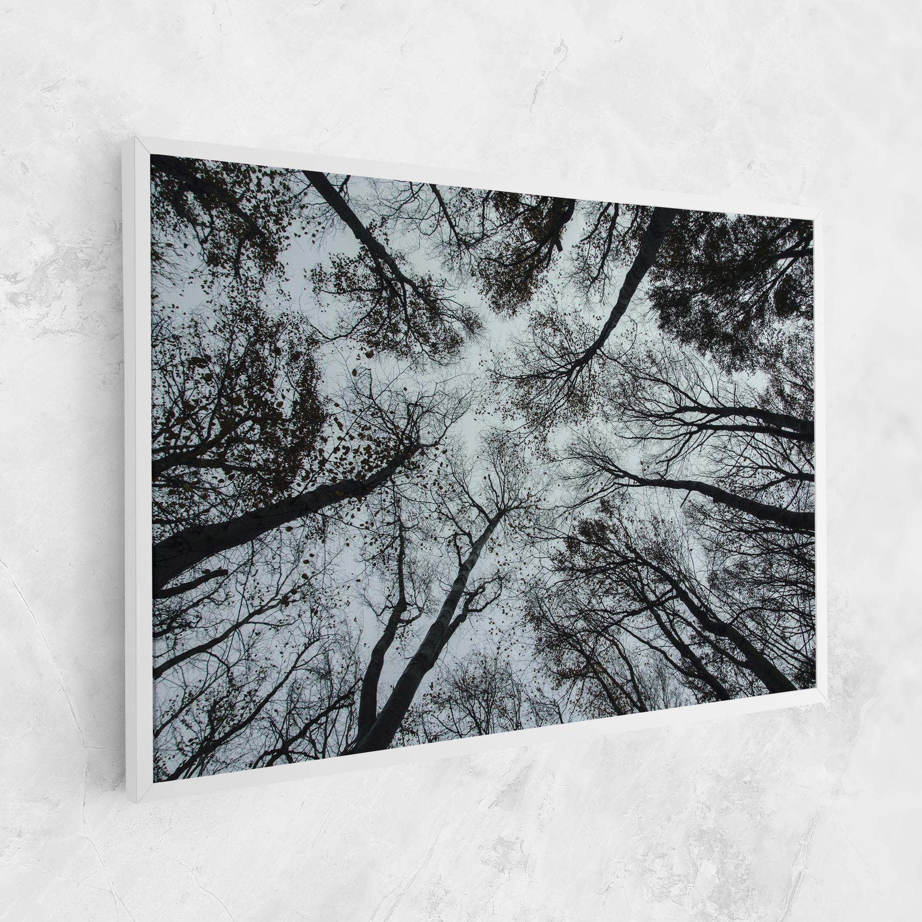 Vászonkép Trees Touching mockup 1