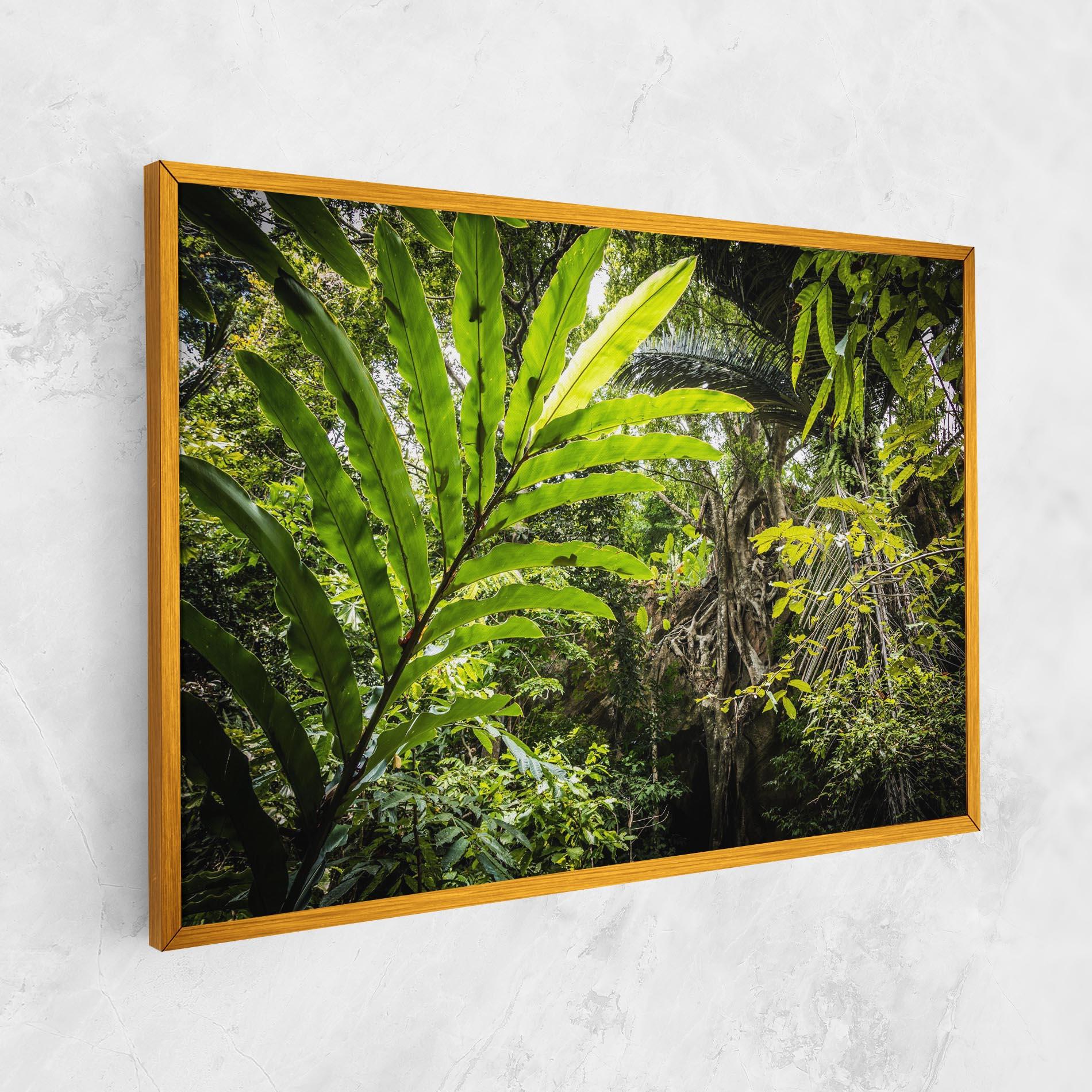 Vászonkép Big Leaf Forest mockup 1