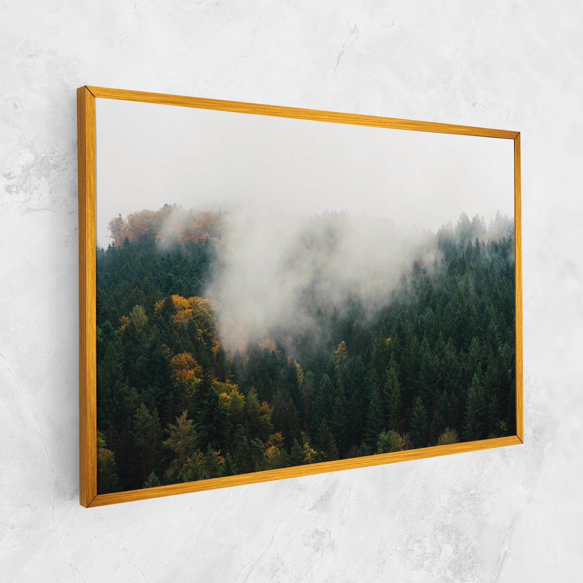 Foggy Tree Forest mockup 1
