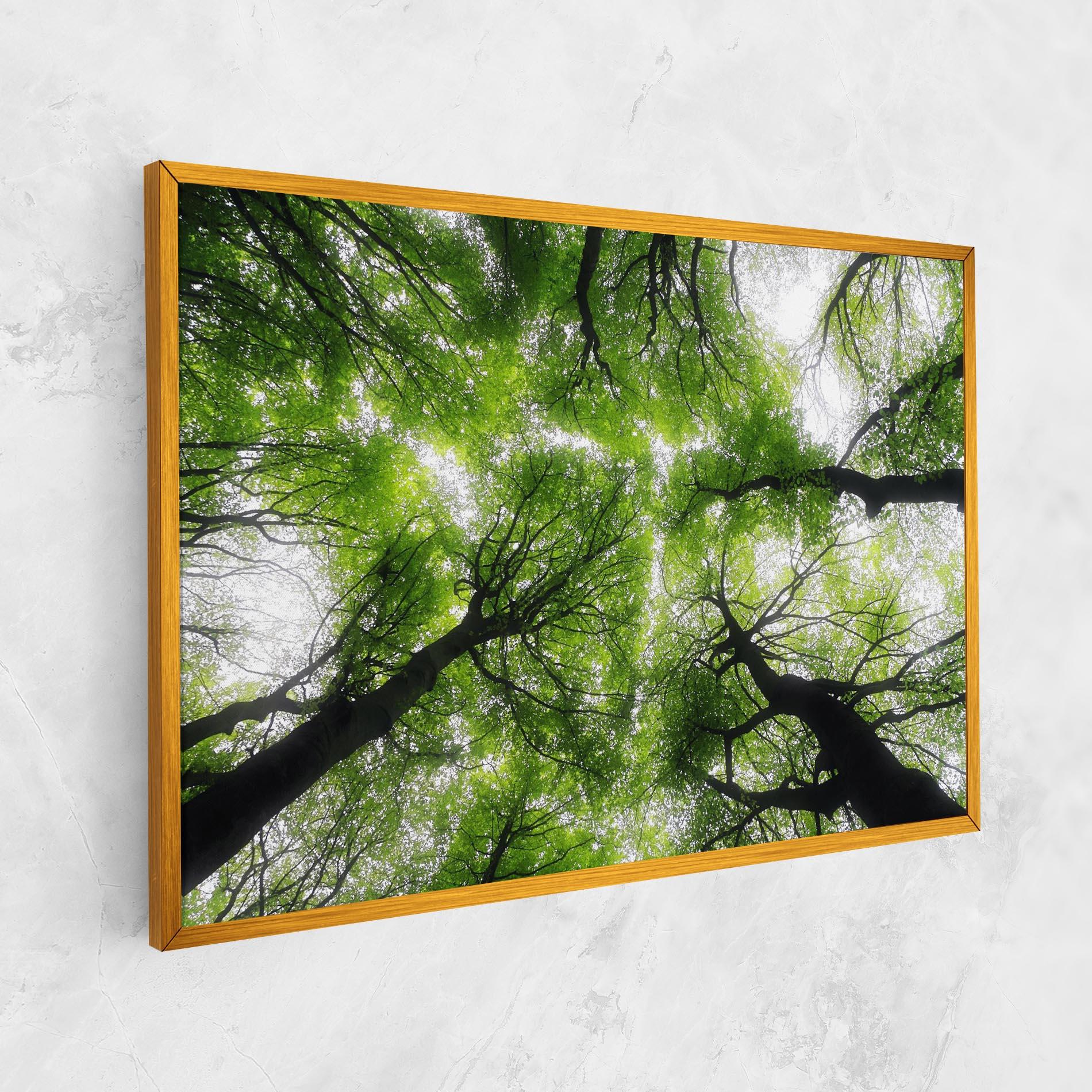 Vászonkép Forest Green Tree mockup 1