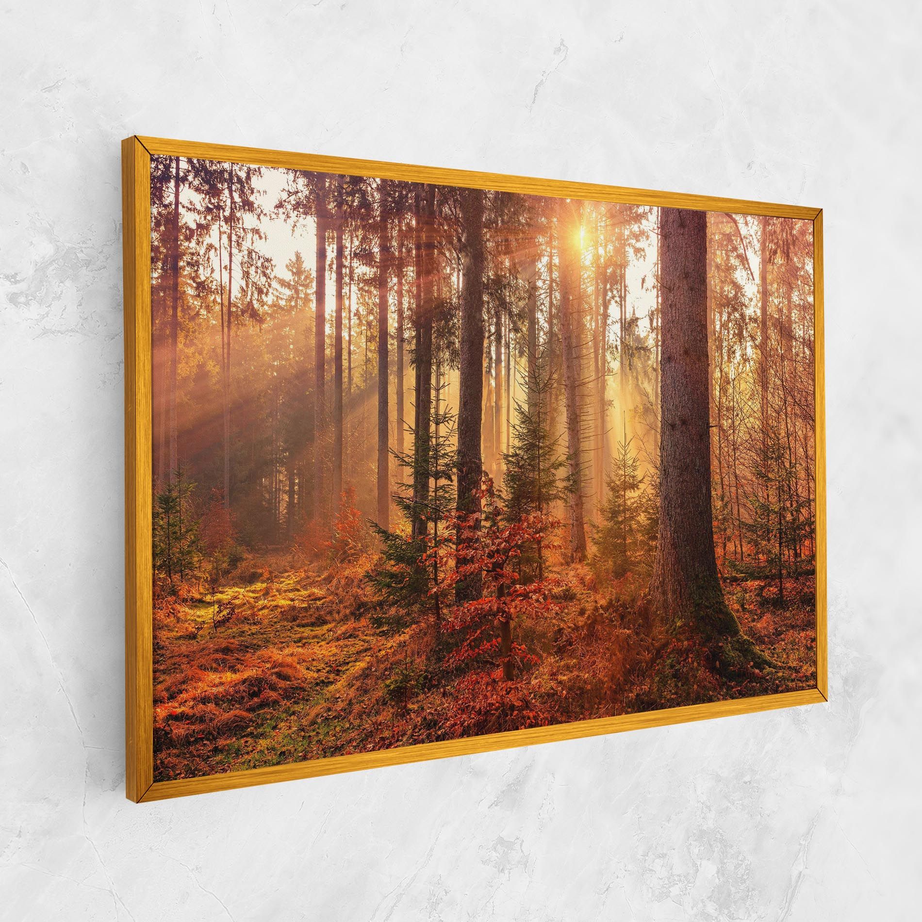 Orange Light Forest mockup 1