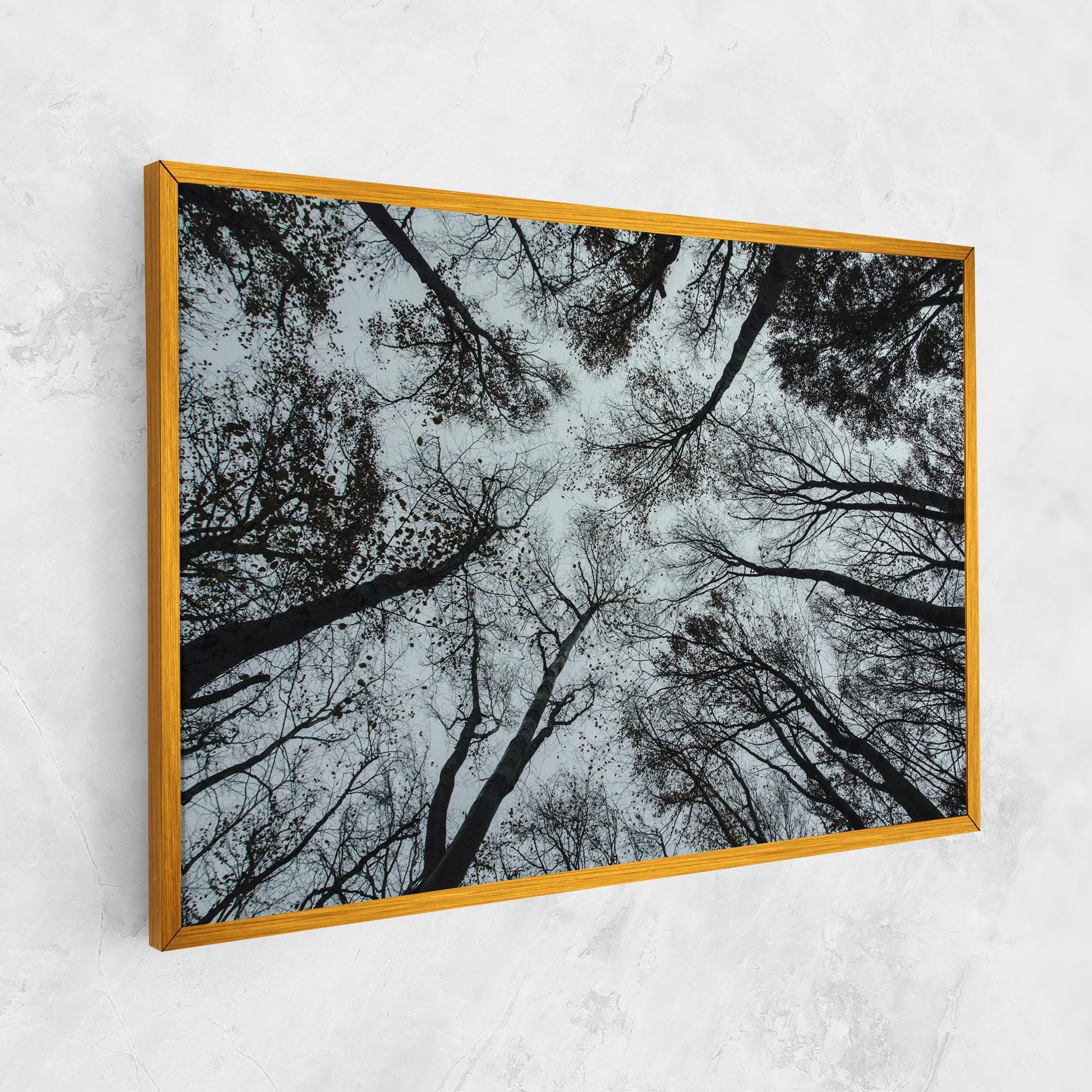 Trees Touching mockup 1