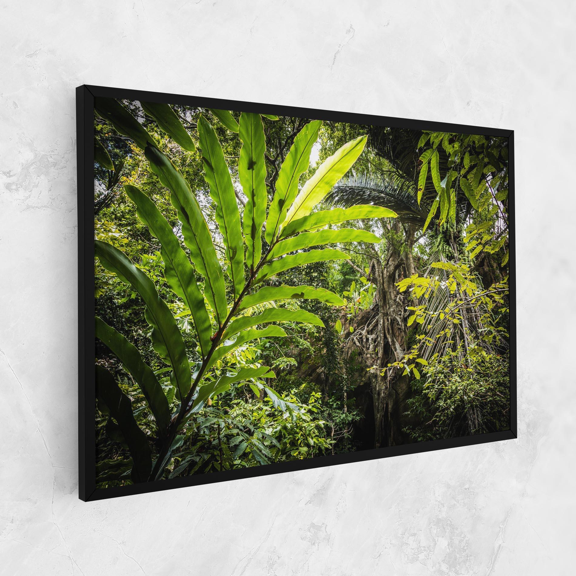 Vászonkép Big Leaf Forest mockup 1