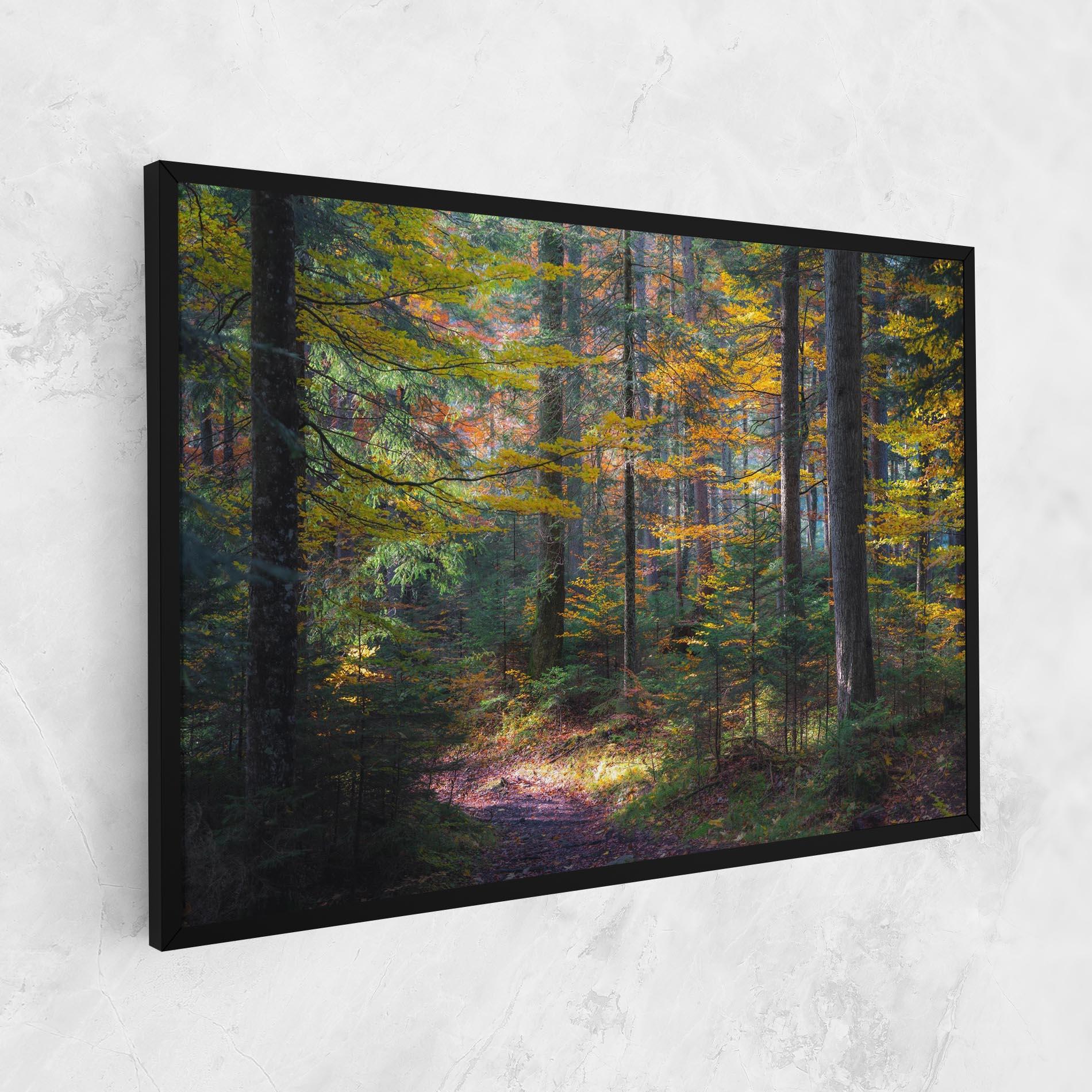 Vászonkép Dreamy Path Dorest mockup 1