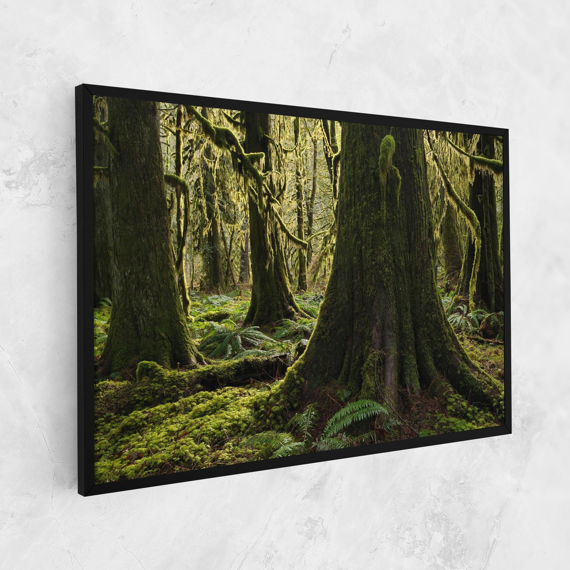 Green Moss Forest mockup 1