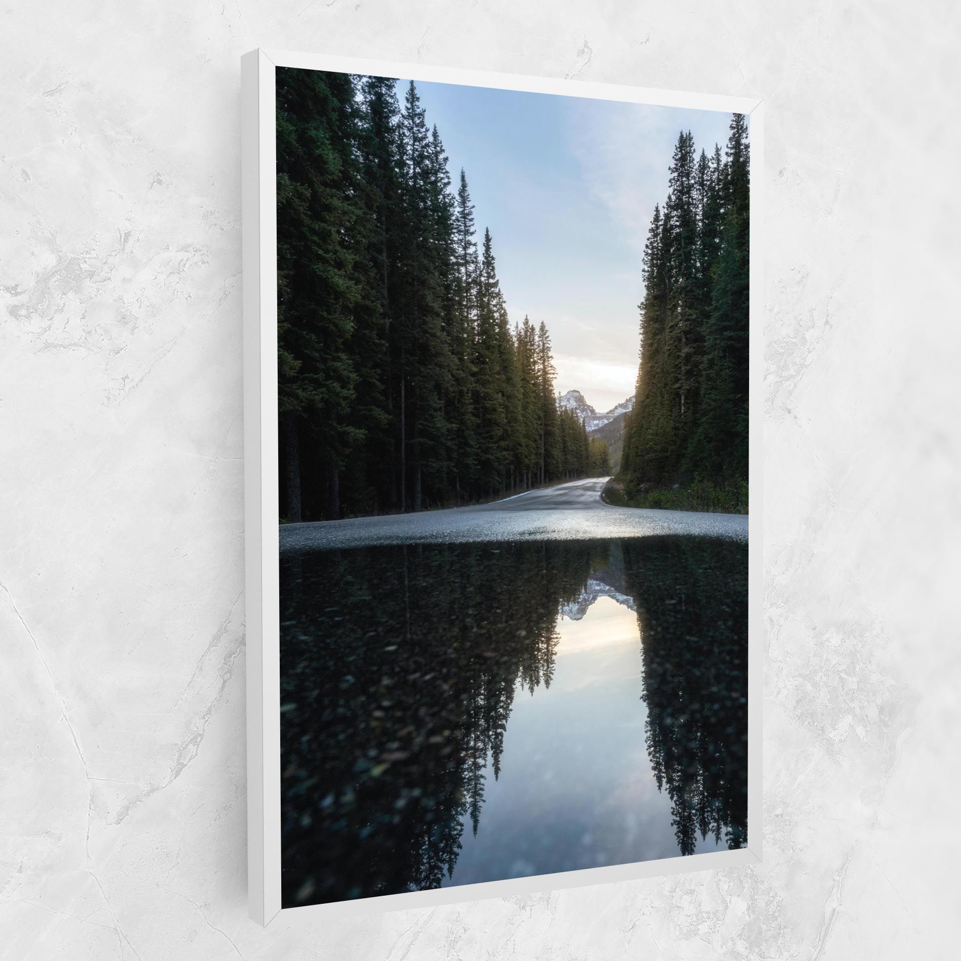 Big Lake Forest mockup 1