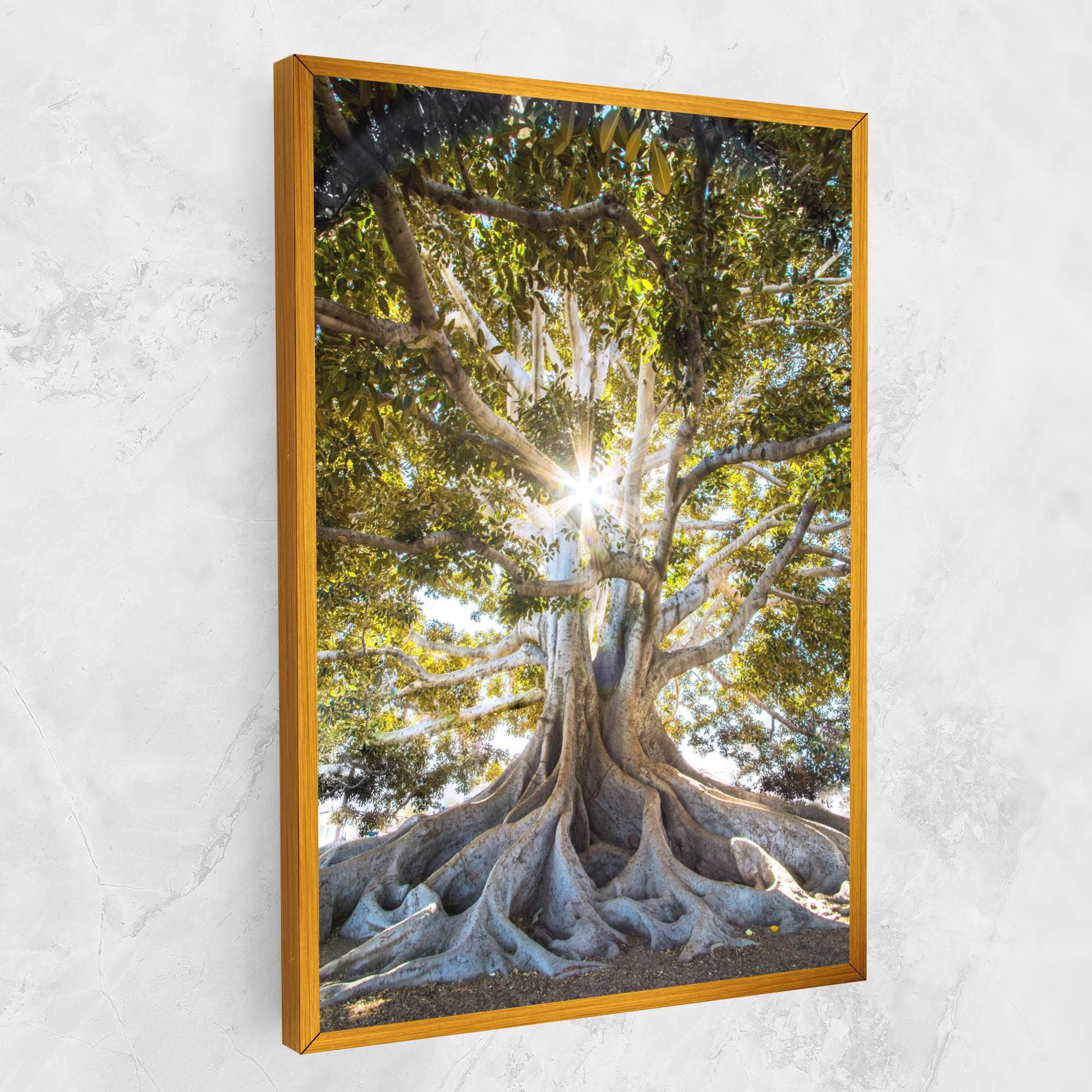 Big Old Tree mockup 1