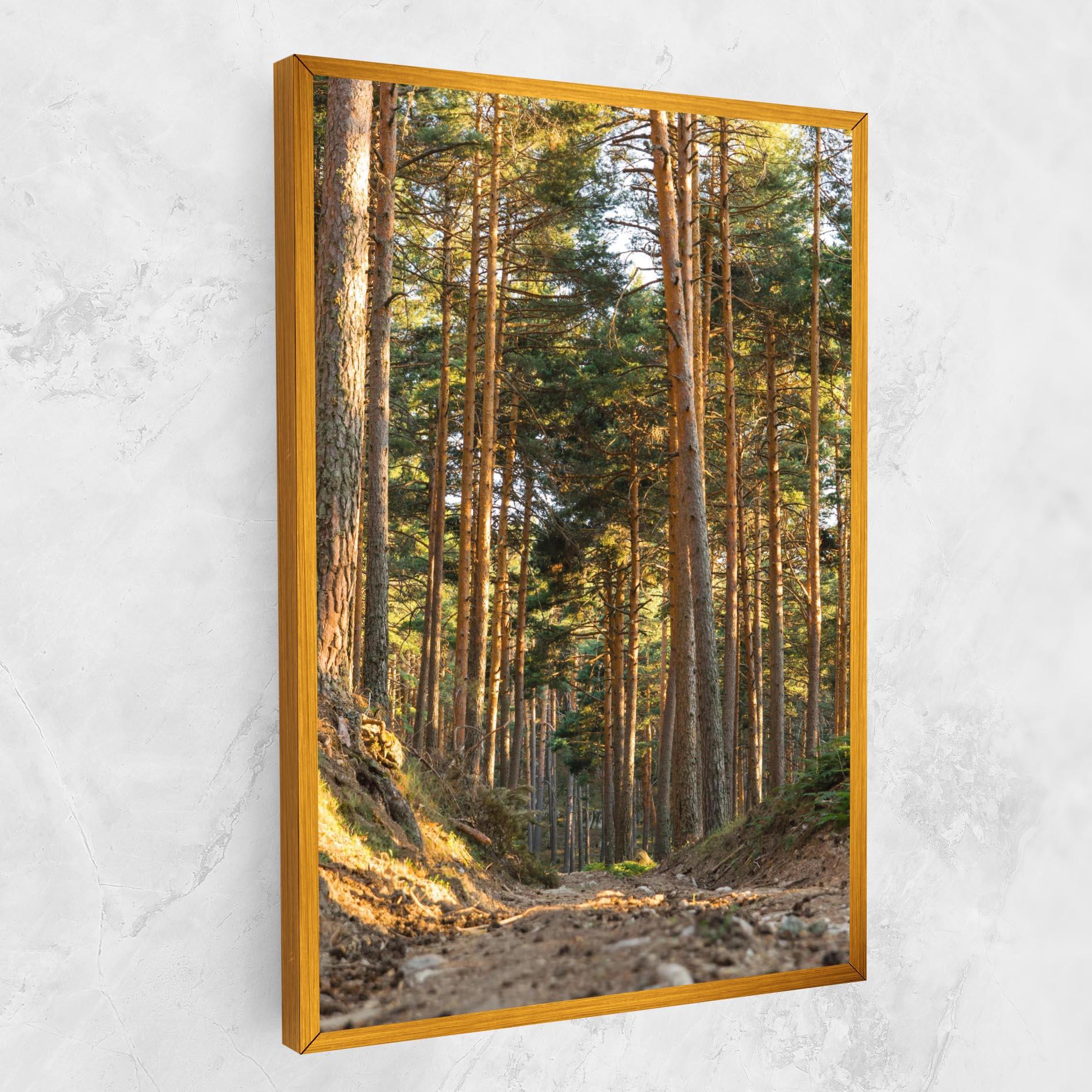 Vászonkép Big Trees Forest mockup 1