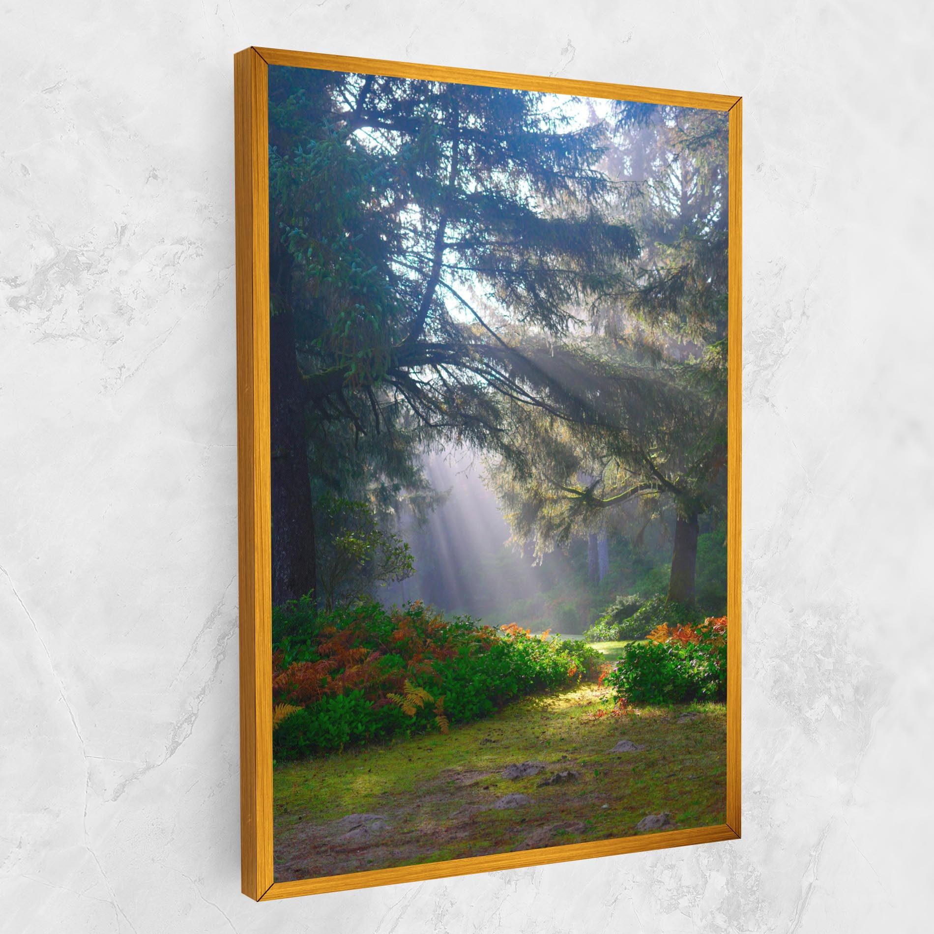 Forest Light mockup 1