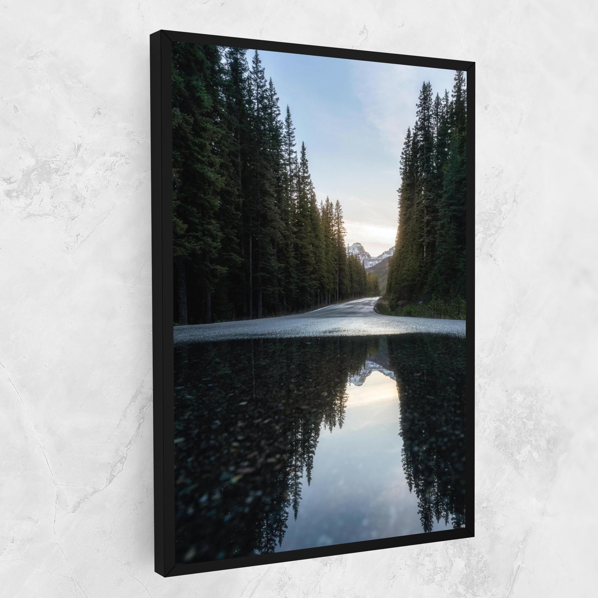 Big Lake Forest mockup 1