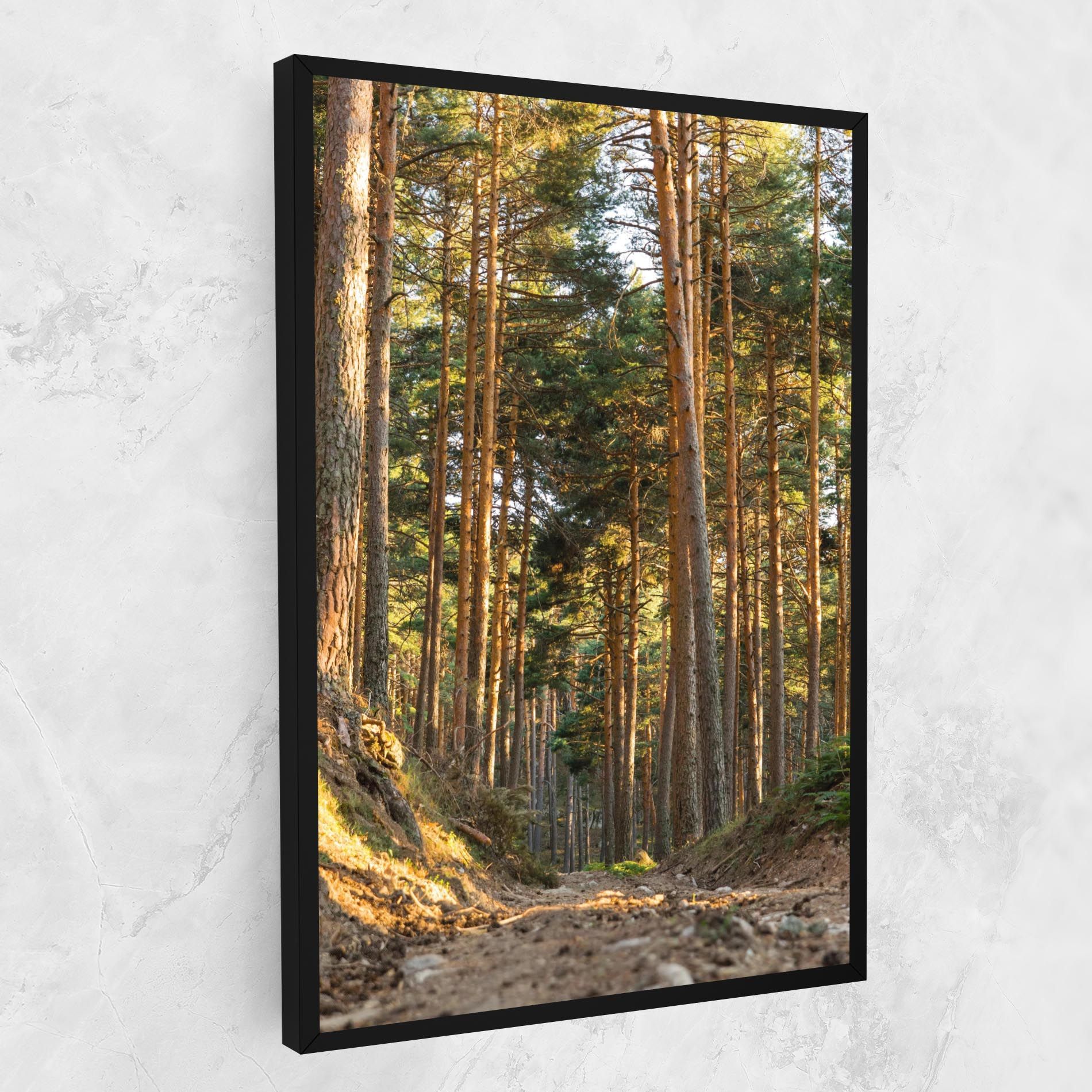 Big Trees Forest mockup 1