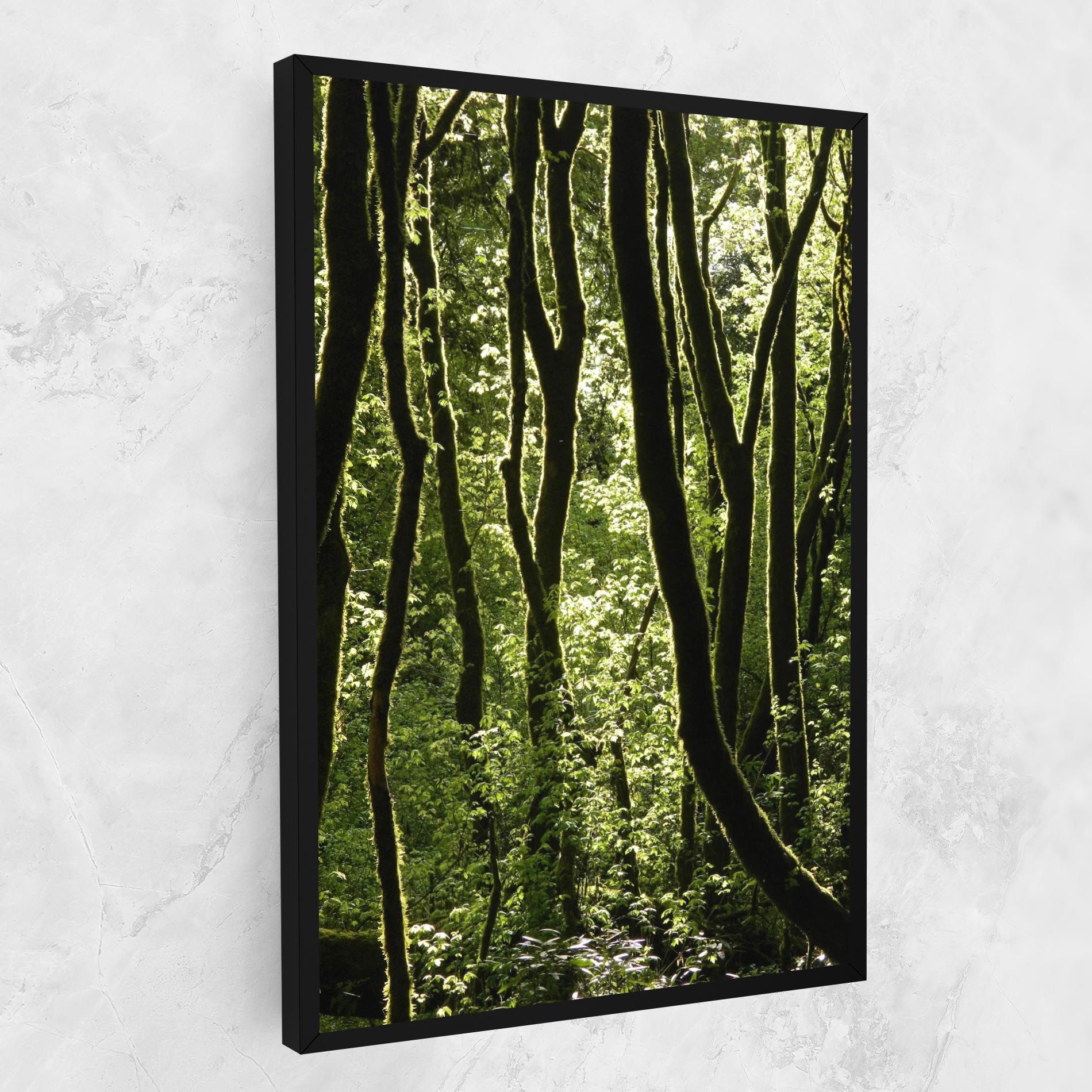 Forest Black Trees mockup 1