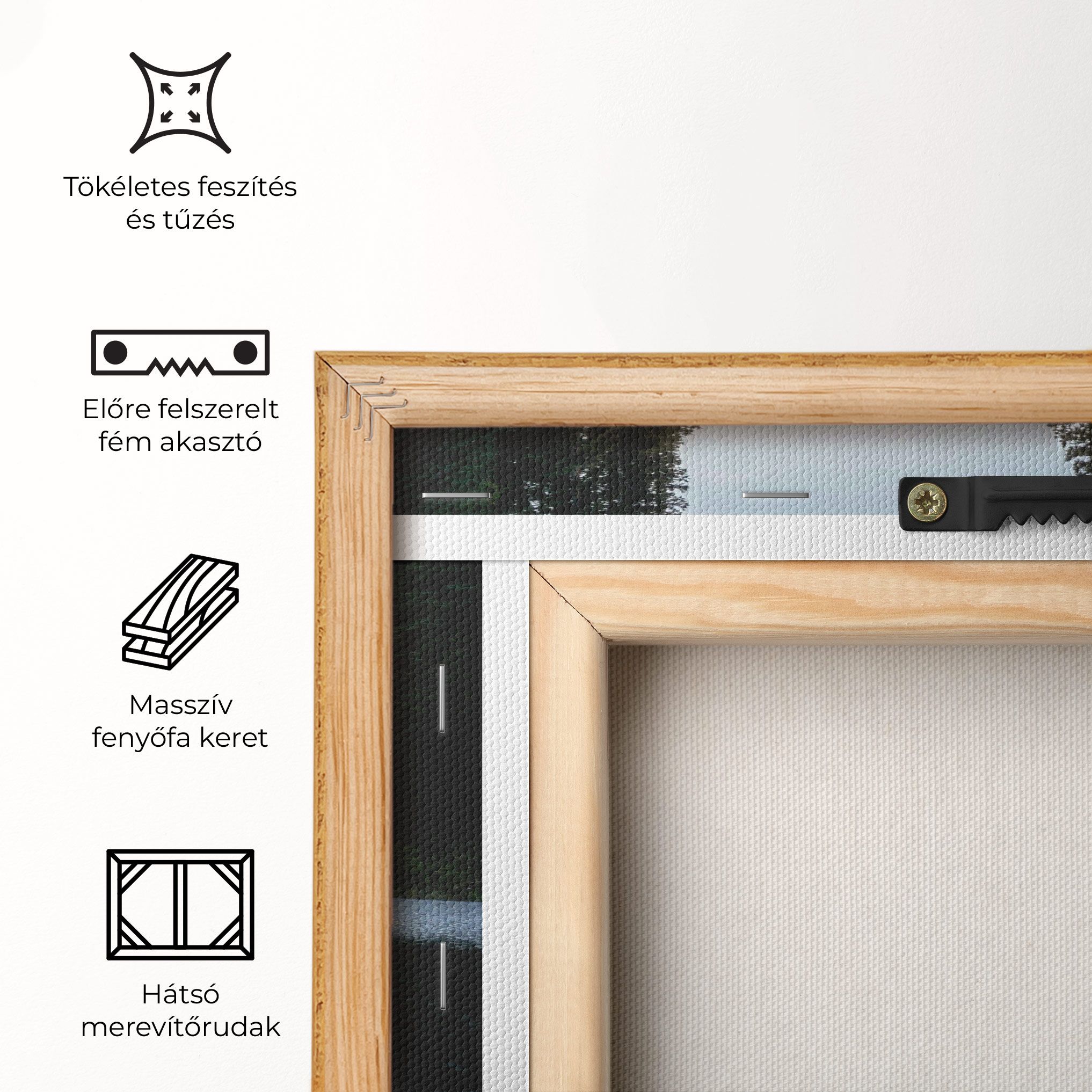 Big Lake Forest mockup 5