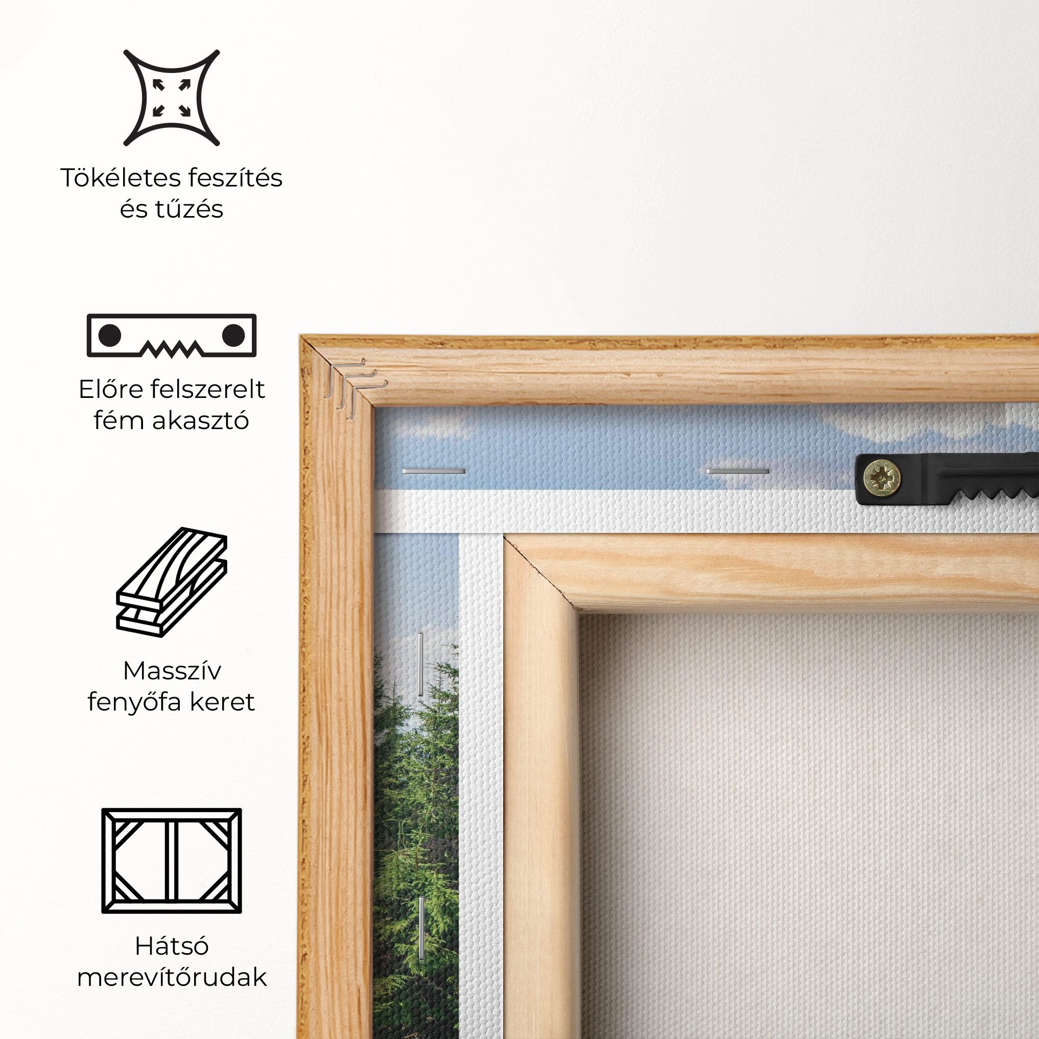 Carpathian Mountain mockup 5