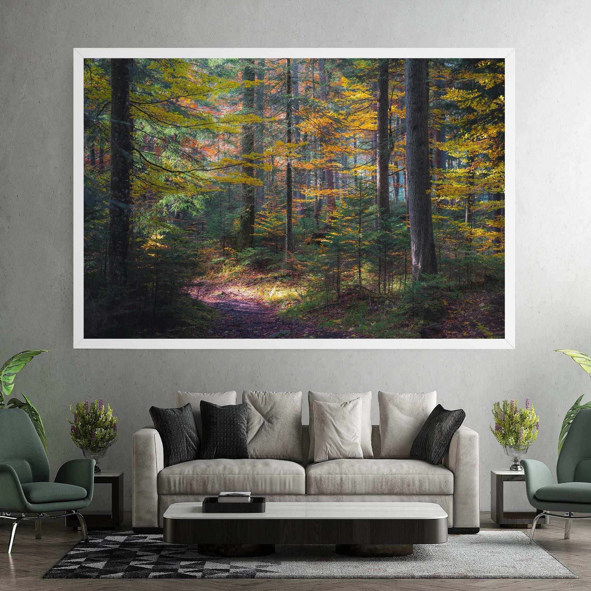 Dreamy Path Dorest mockup 7