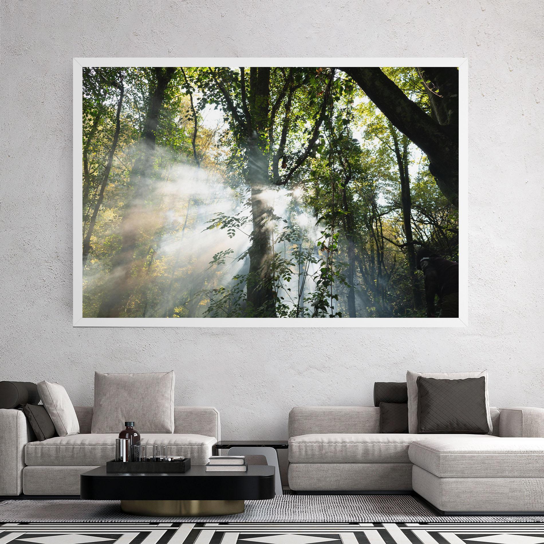 Vászonkép Foggy Light Forest mockup 2