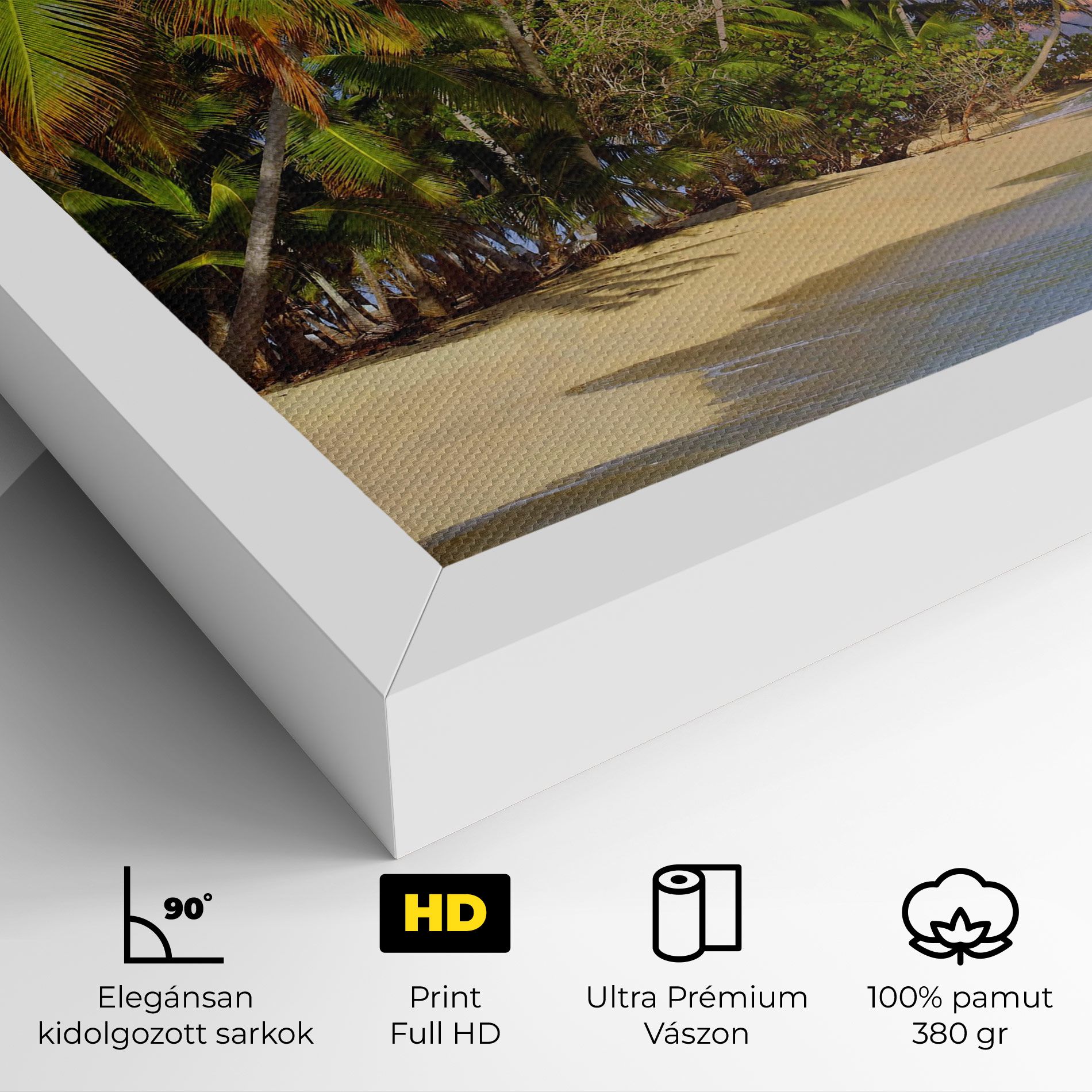 Coconut Tree Sunset mockup 4