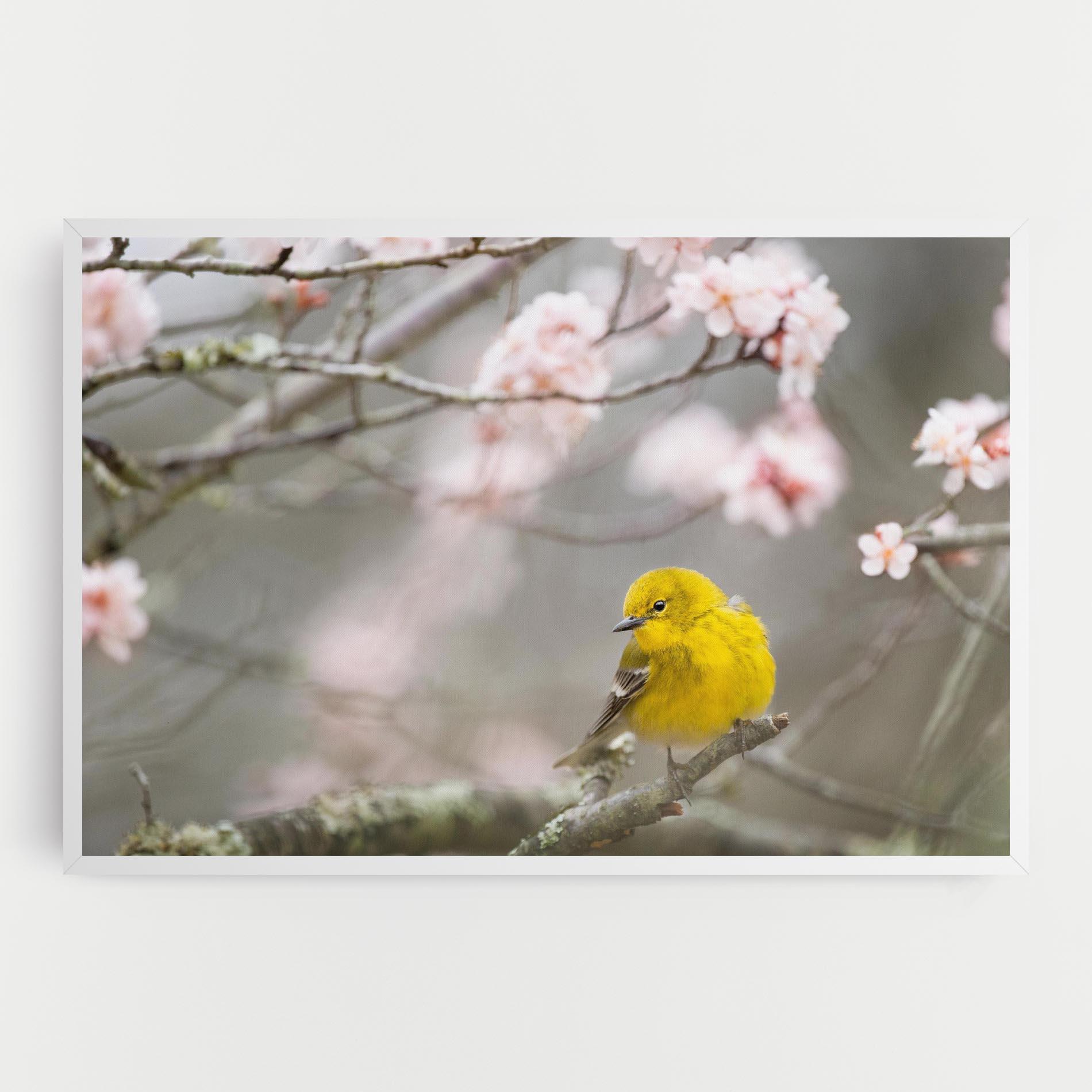 Vászonkép Pretty Spring Yellow Bird mockup 0