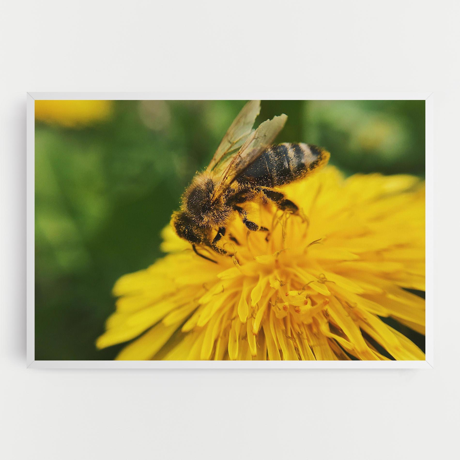 Vászonkép Spring Bee mockup 0