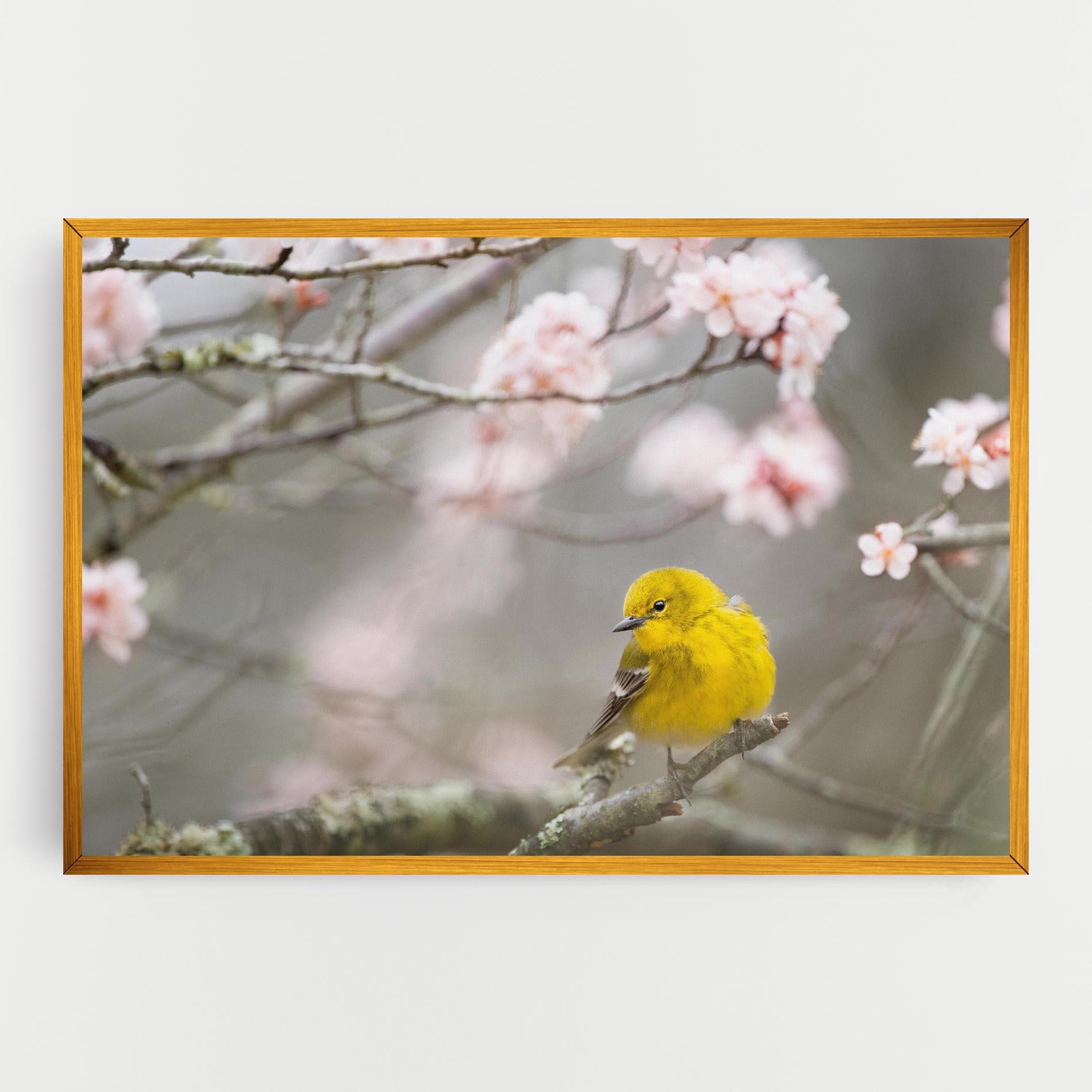 Vászonkép Pretty Spring Yellow Bird mockup 0