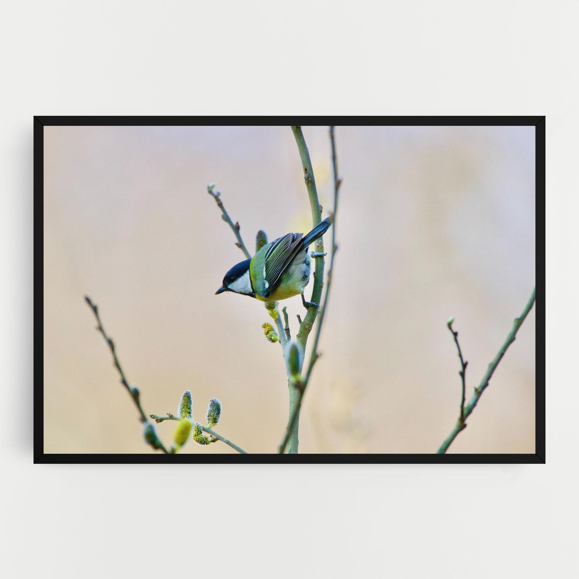 Vászonkép Beautiful Spring Bird mockup 0