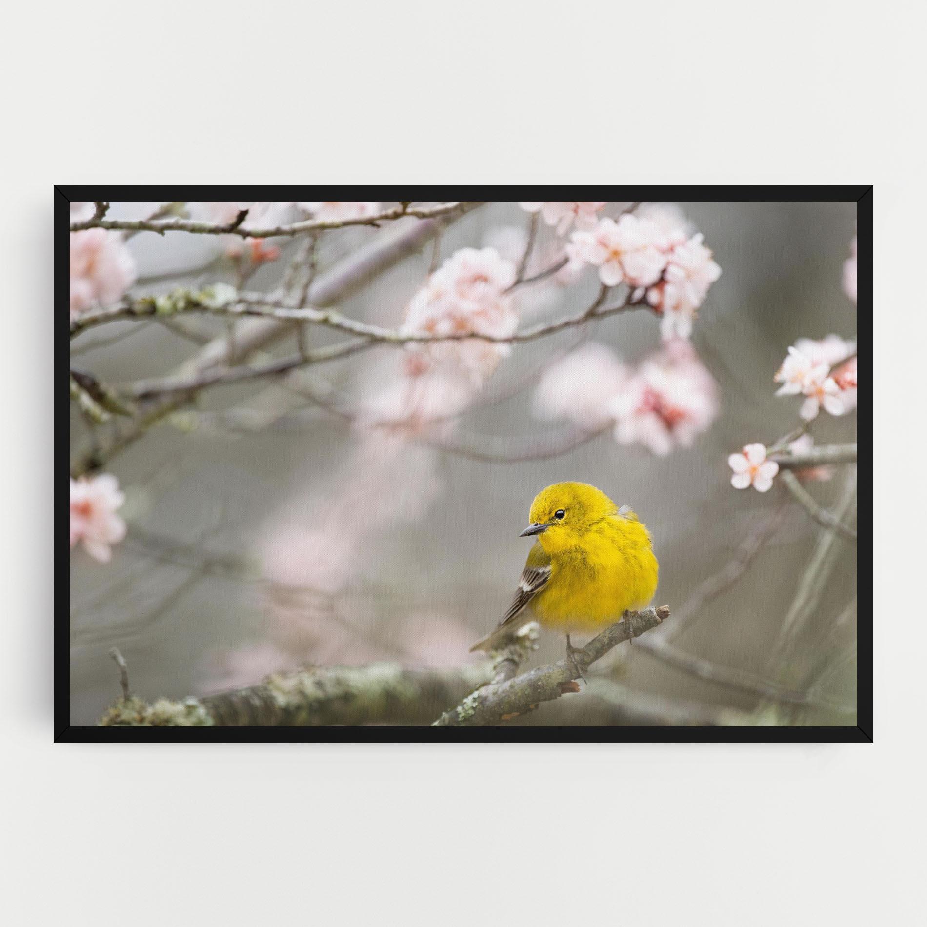 Vászonkép Pretty Spring Yellow Bird mockup 0