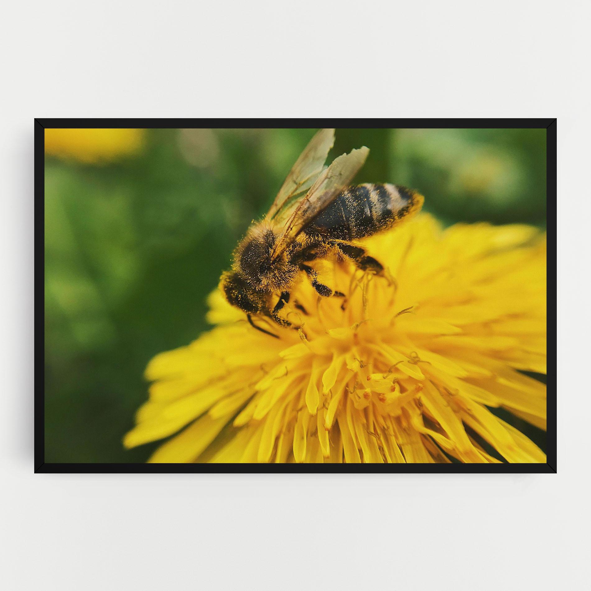 Vászonkép Spring Bee mockup 0