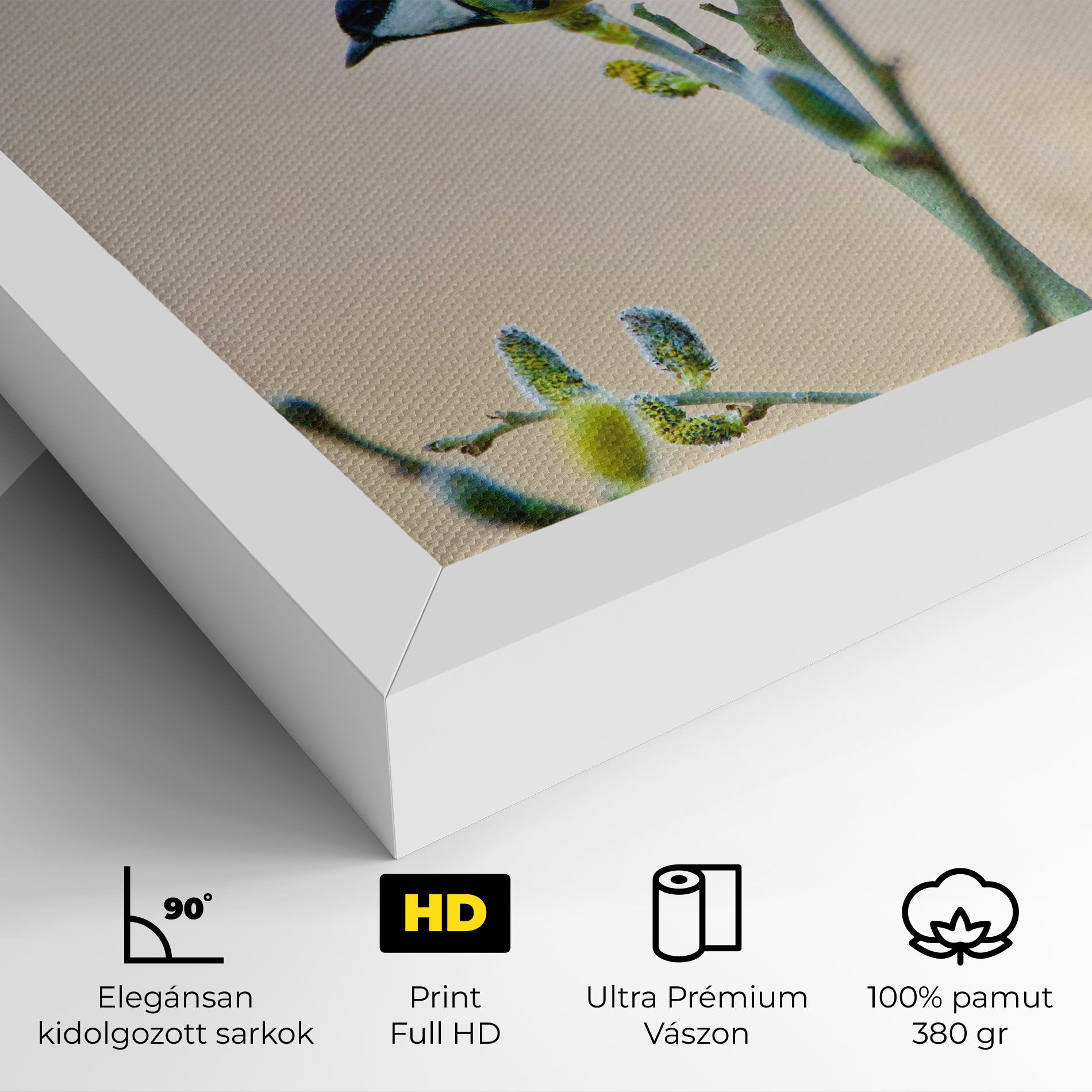 Beautiful Spring Bird mockup 4