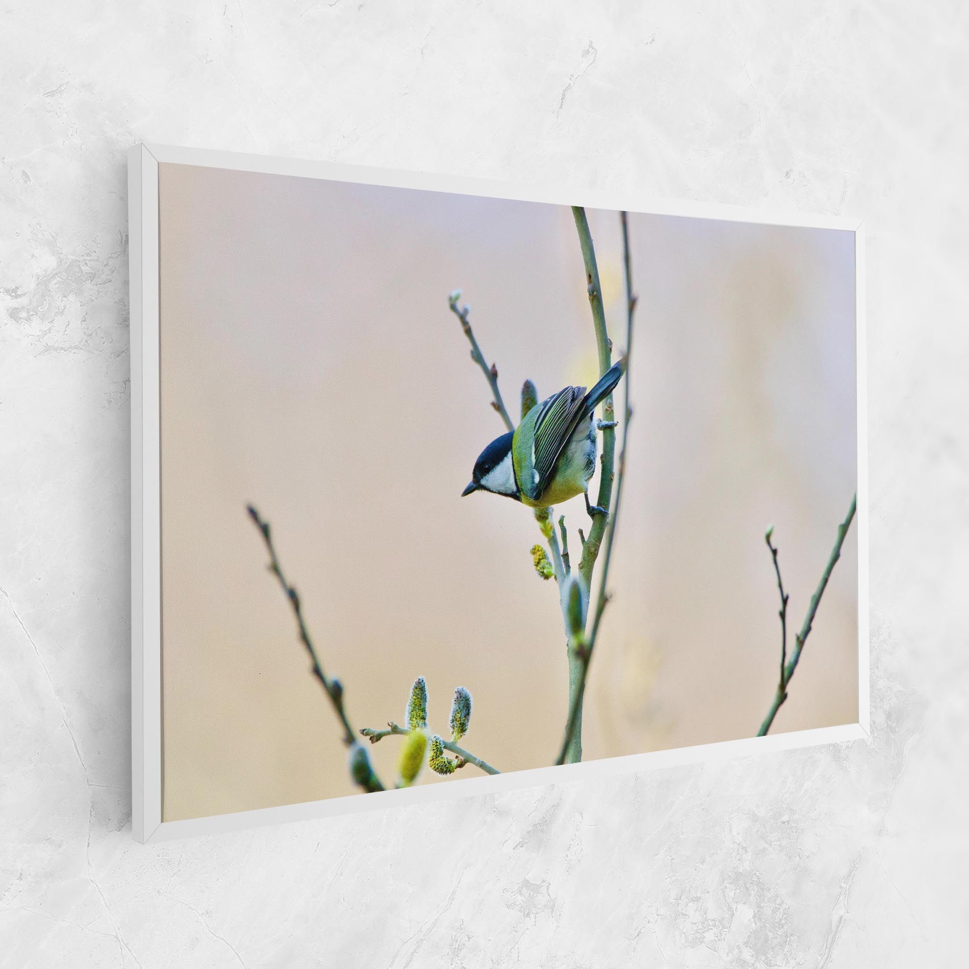 Beautiful Spring Bird mockup 1