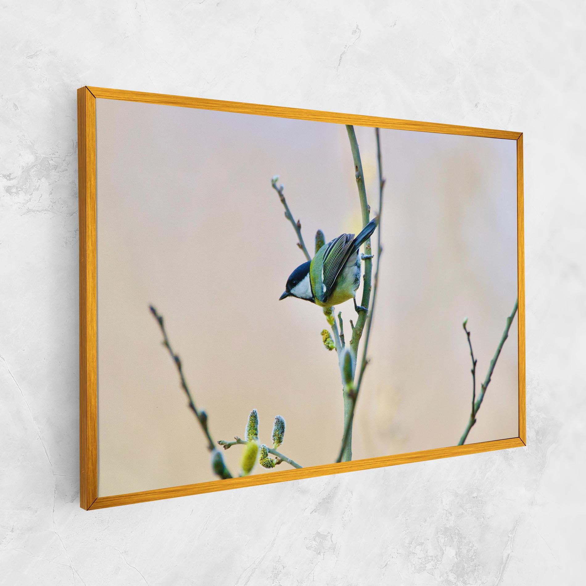 Vászonkép Beautiful Spring Bird mockup 1