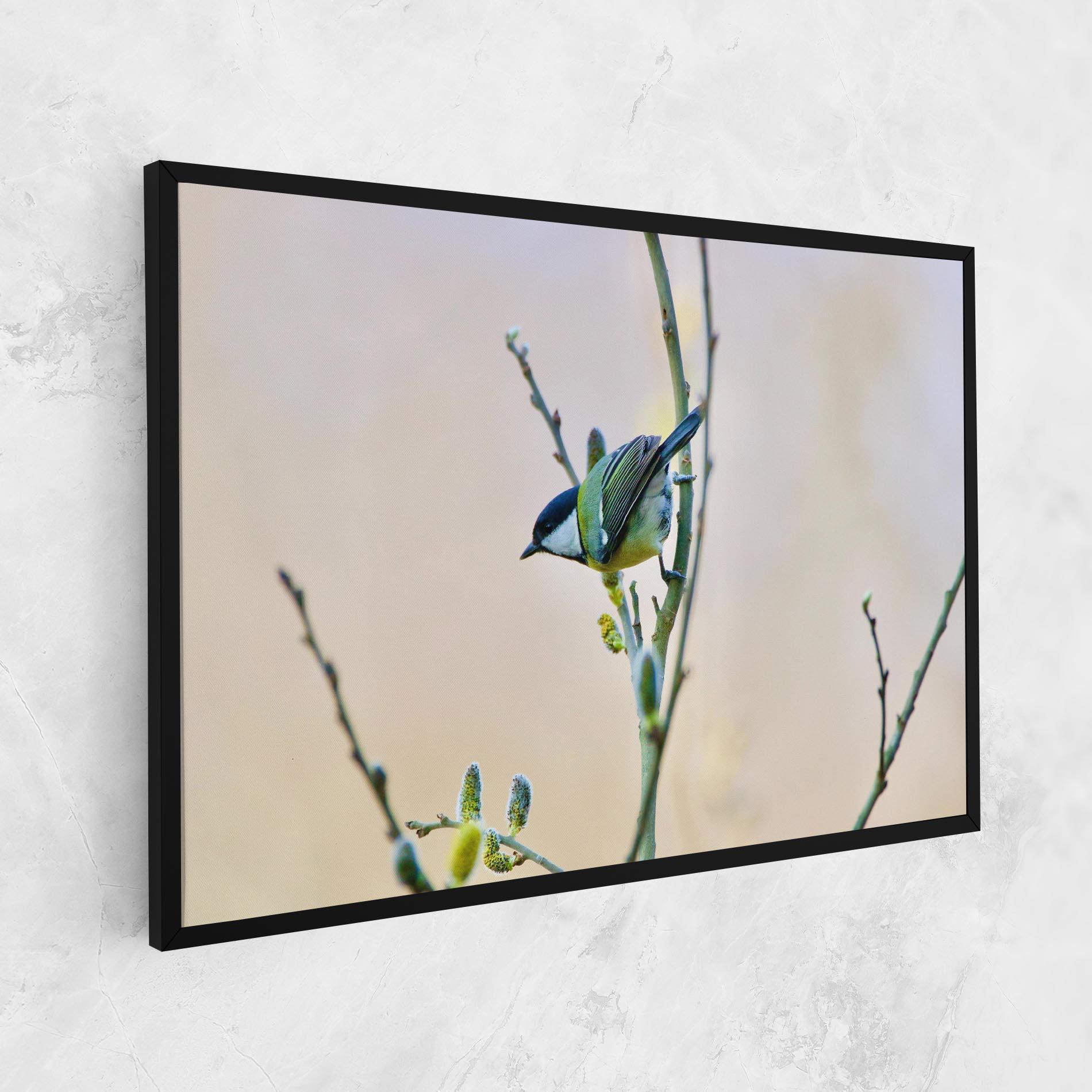 Vászonkép Beautiful Spring Bird mockup 1