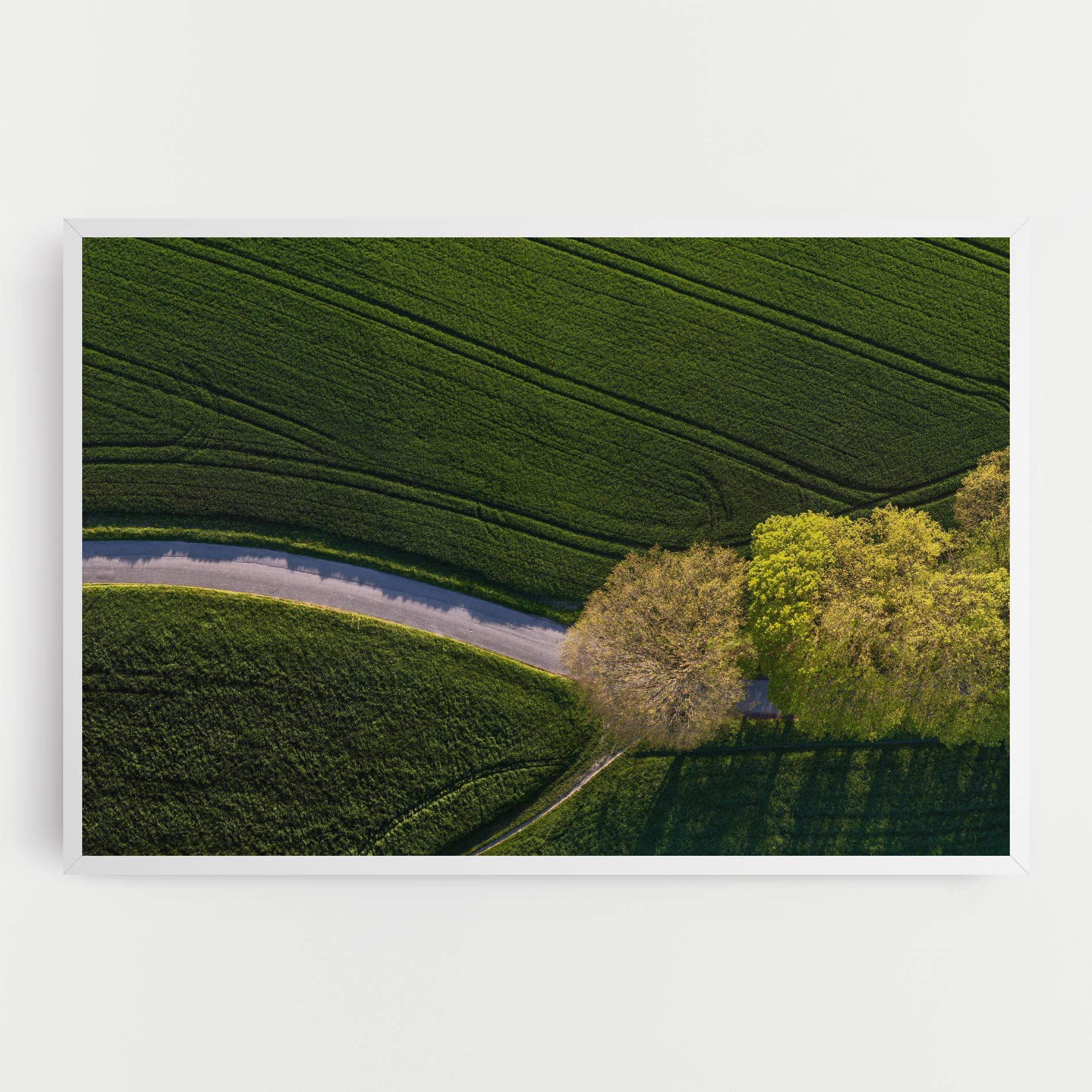 Vászonkép Green Road mockup 0